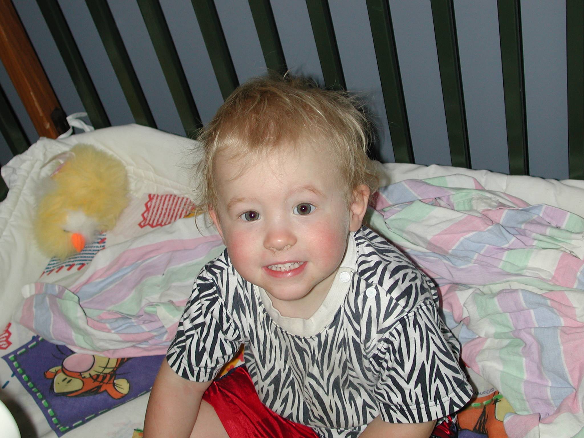 DSCN0004.JPG, 295459 bytes, 8/11/00