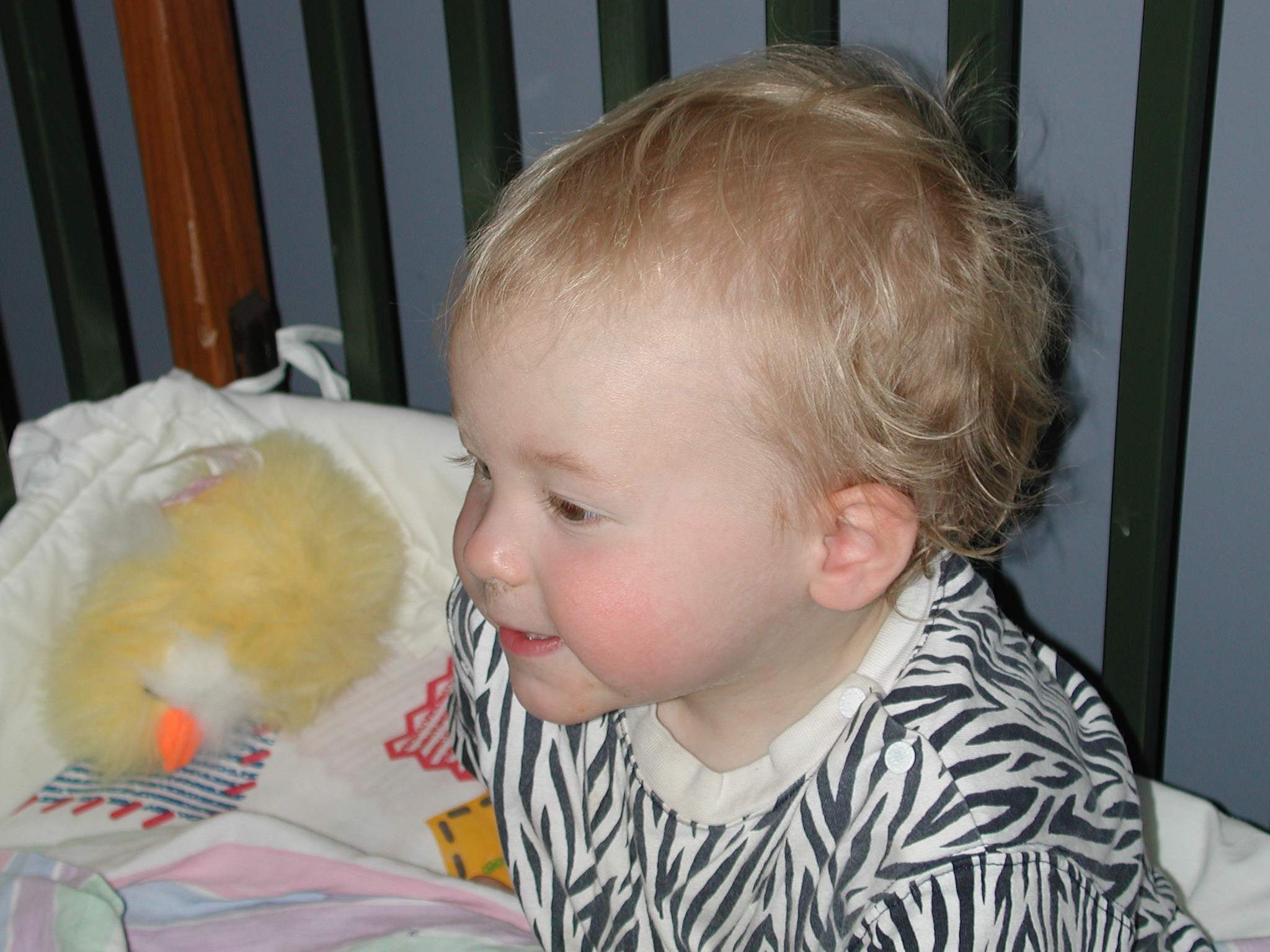 DSCN0005.JPG, 691473 bytes, 8/05/00