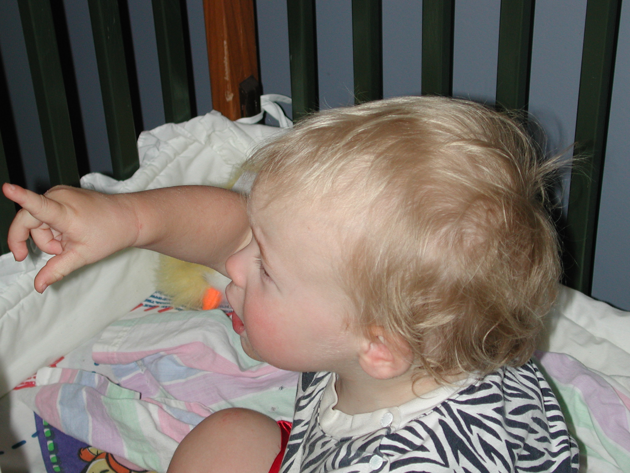 DSCN0006.JPG, 677730 bytes, 8/05/00