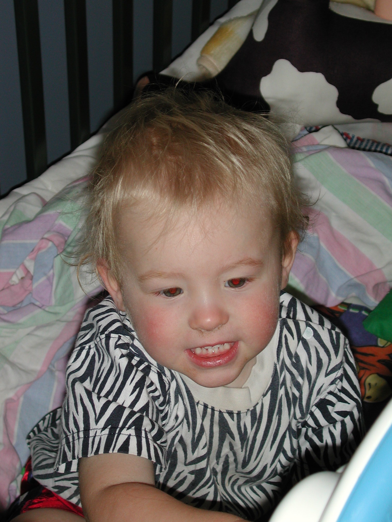 DSCN0007.JPG, 598016 bytes, 1/29/01