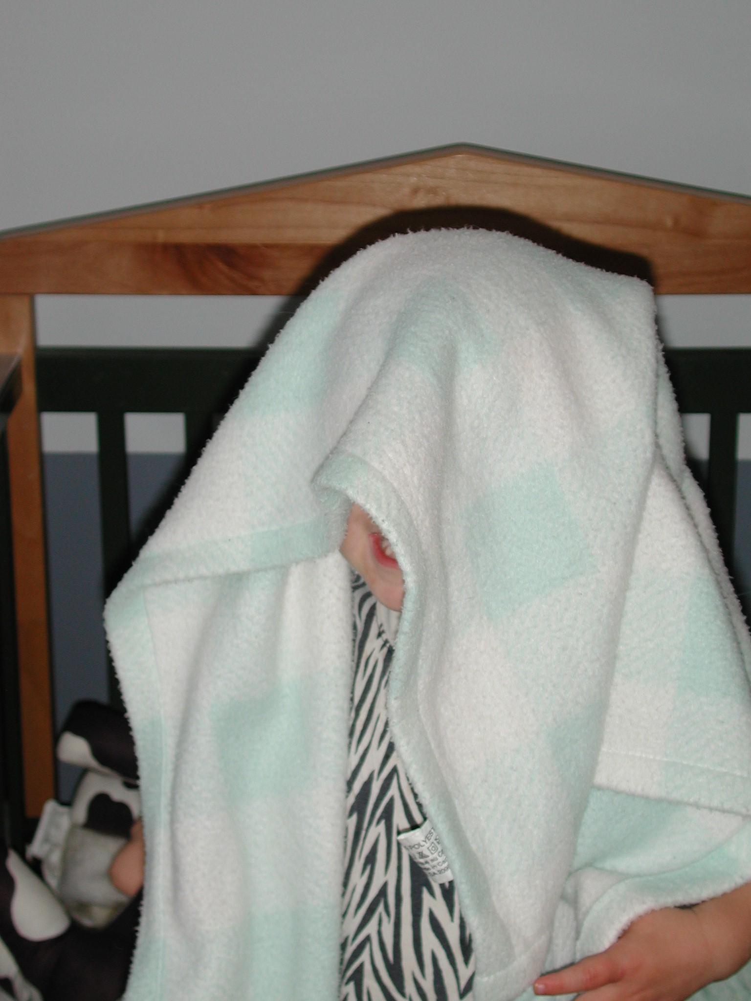 DSCN0009.JPG, 535025 bytes, 8/07/00