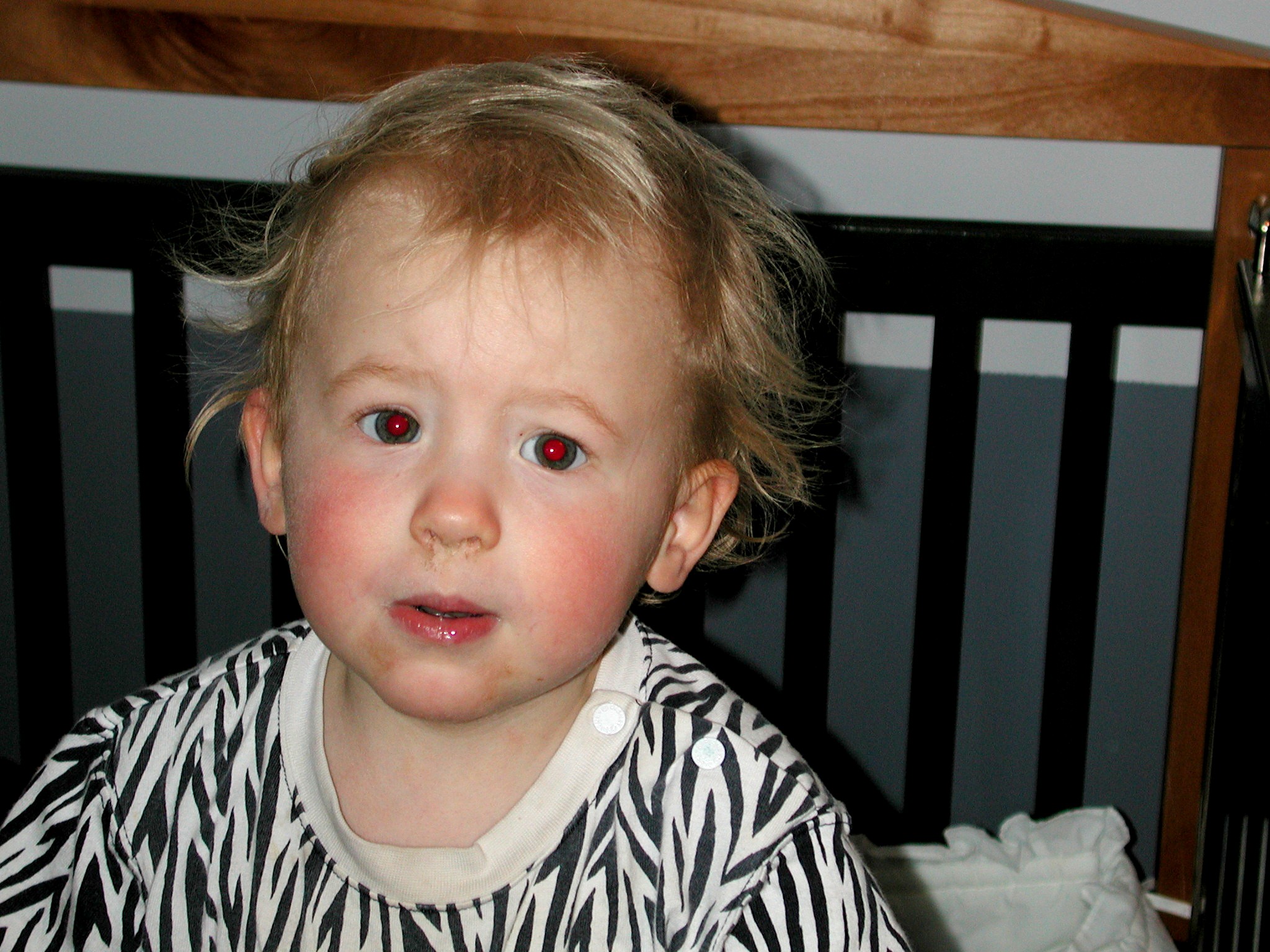 DSCN0011.JPG, 634392 bytes, 1/29/01