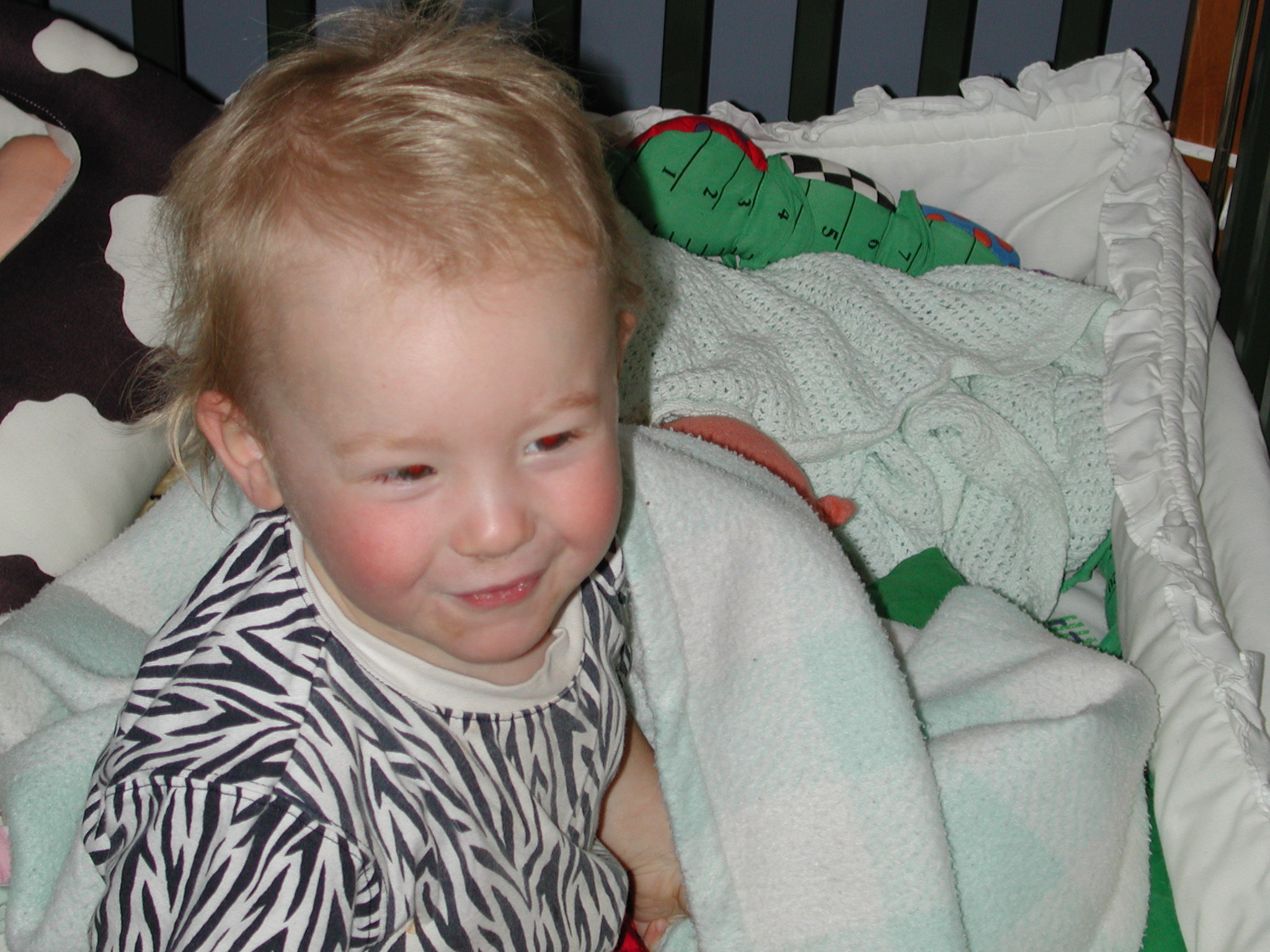 DSCN0012.JPG, 677512 bytes, 8/05/00