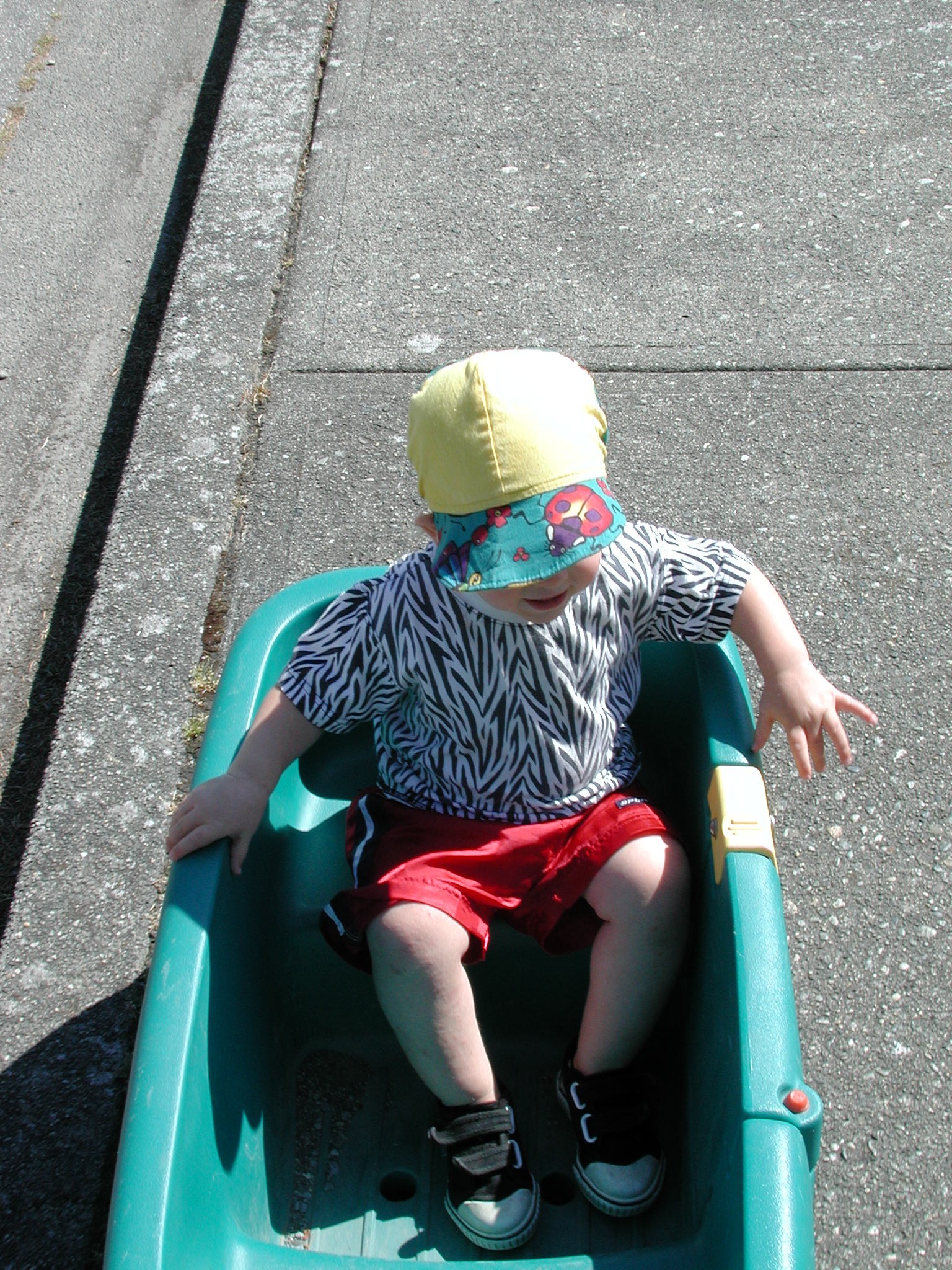 DSCN0015.JPG, 915464 bytes, 1/29/01