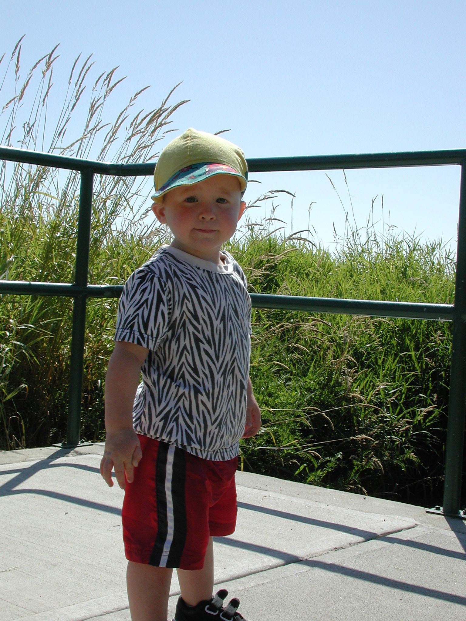 DSCN0018.JPG, 788691 bytes, 8/07/00