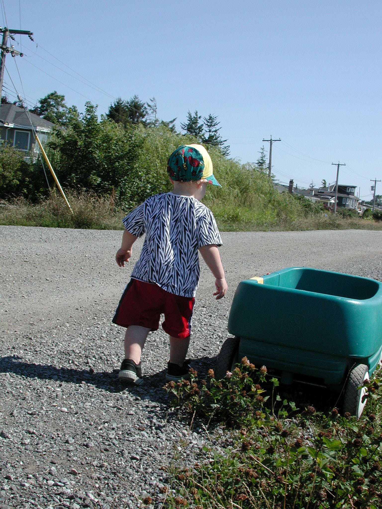 DSCN0019.JPG, 850432 bytes, 8/07/00