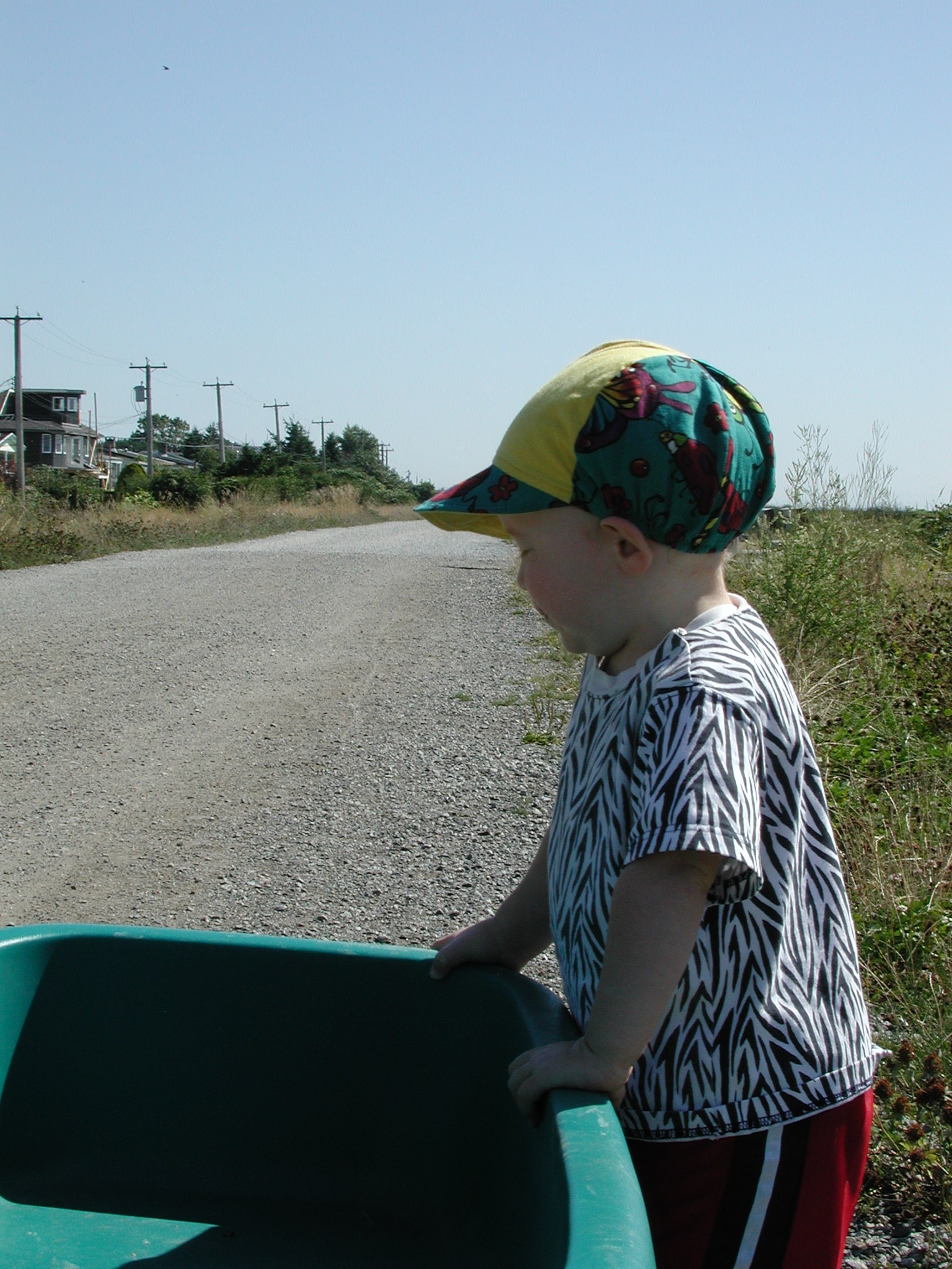 DSCN0025.JPG, 665411 bytes, 1/29/01