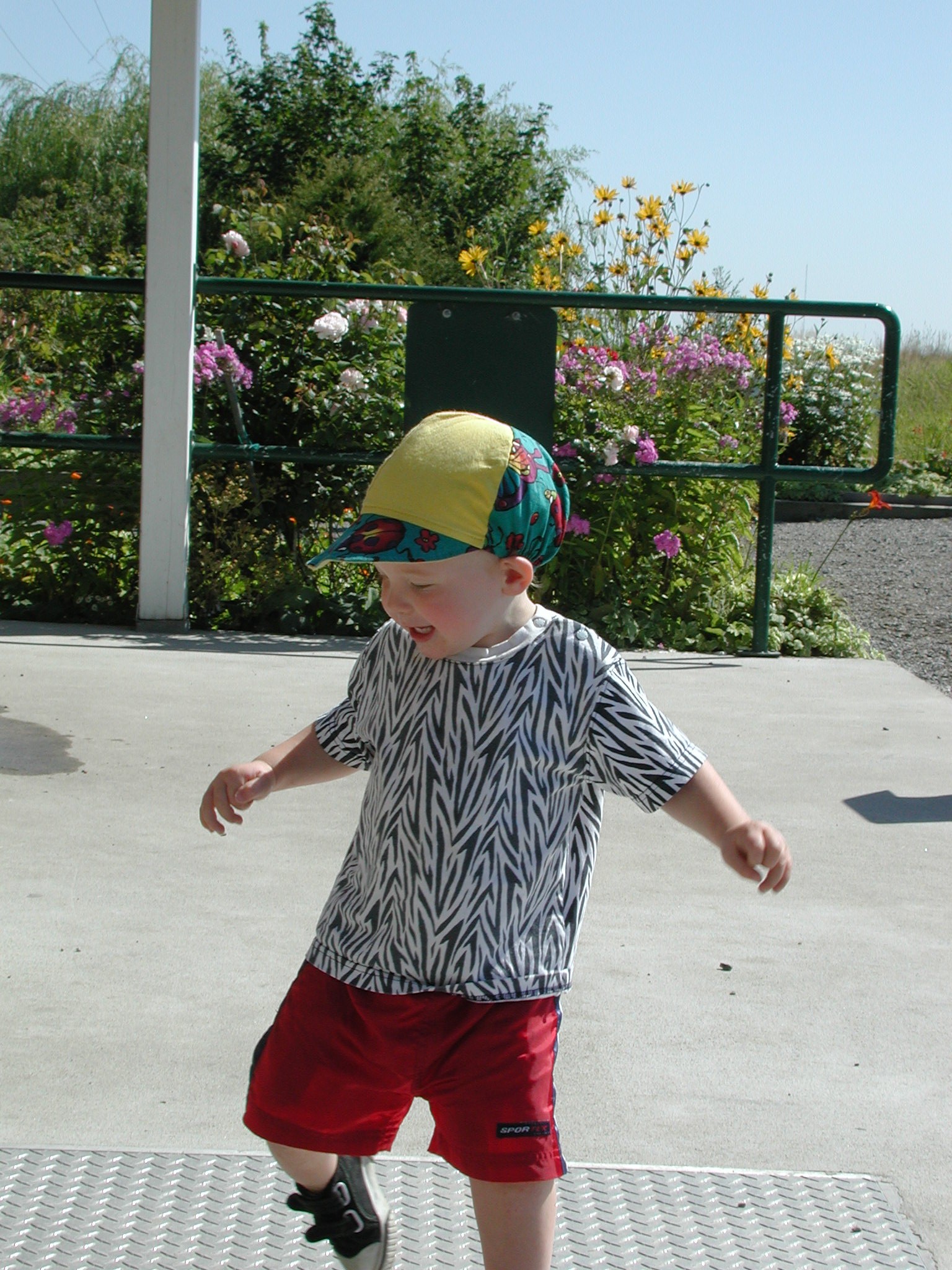 DSCN0029.JPG, 744733 bytes, 8/07/00