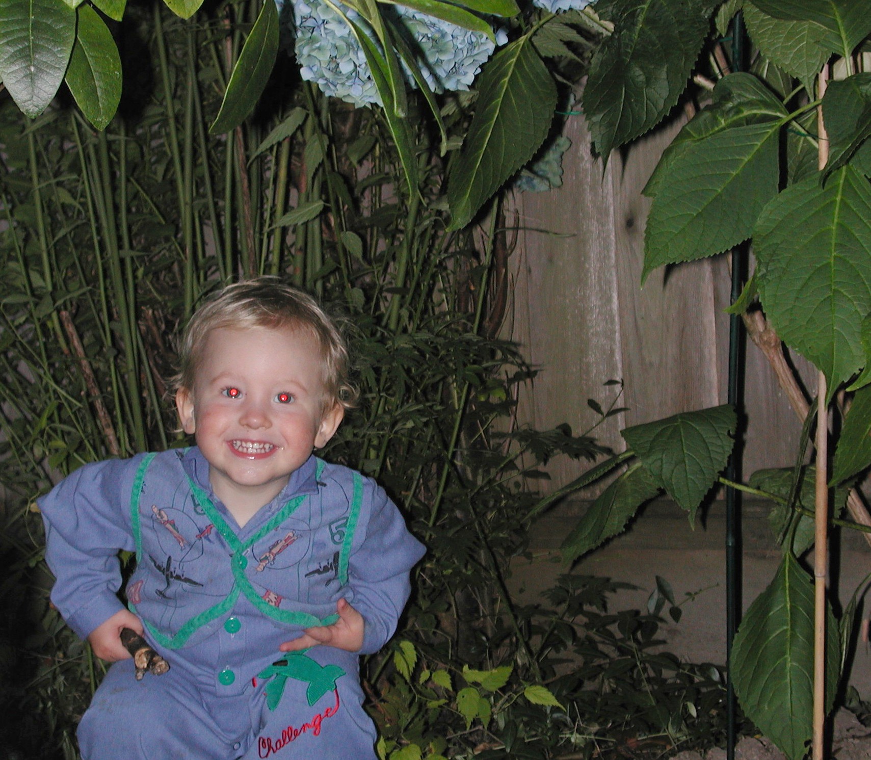 DSCN0122.JPG, 602345 bytes, 1/29/01