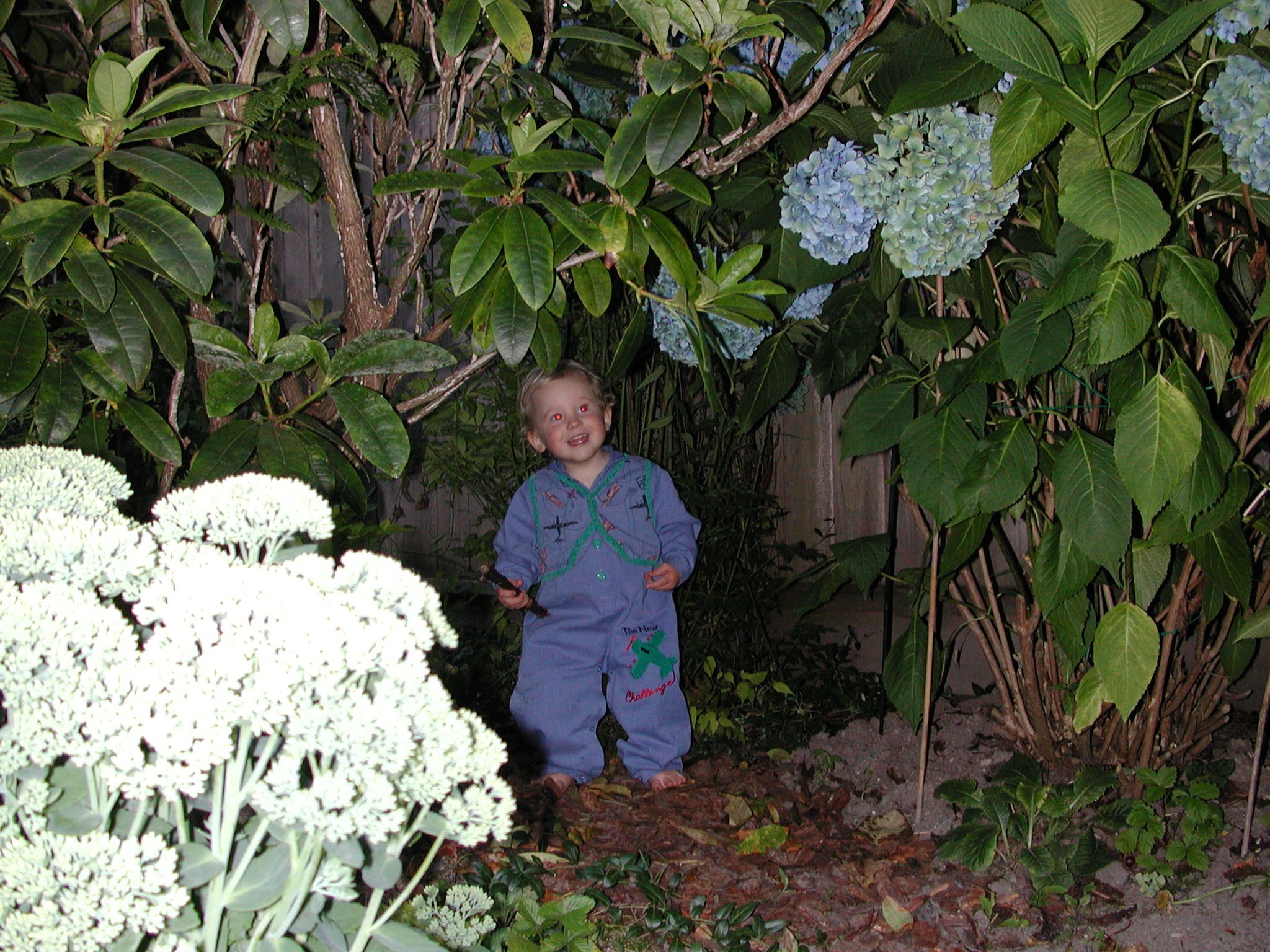 DSCN0123.JPG, 736046 bytes, 8/07/00