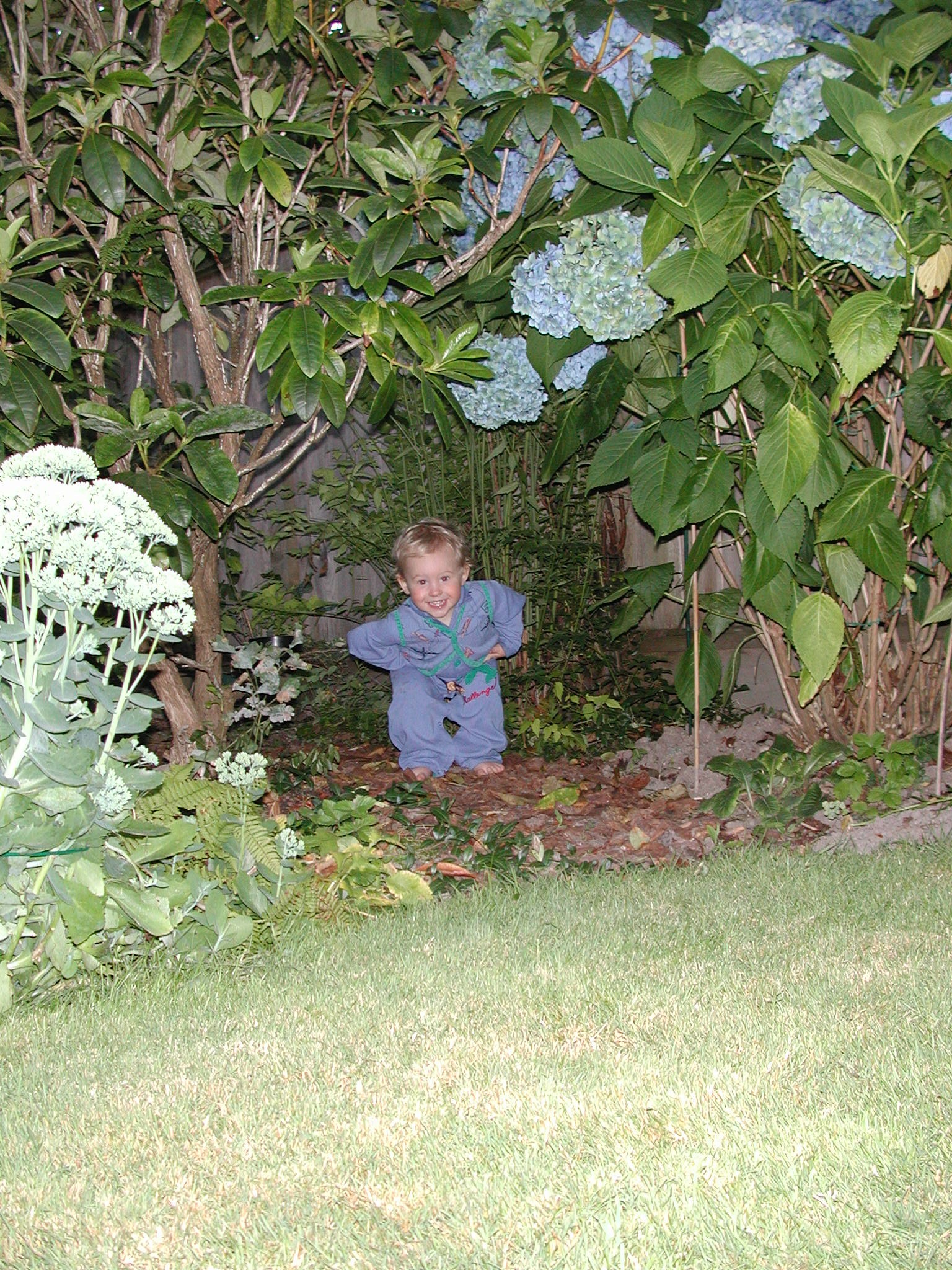 DSCN0124.JPG, 1057042 bytes, 8/07/00