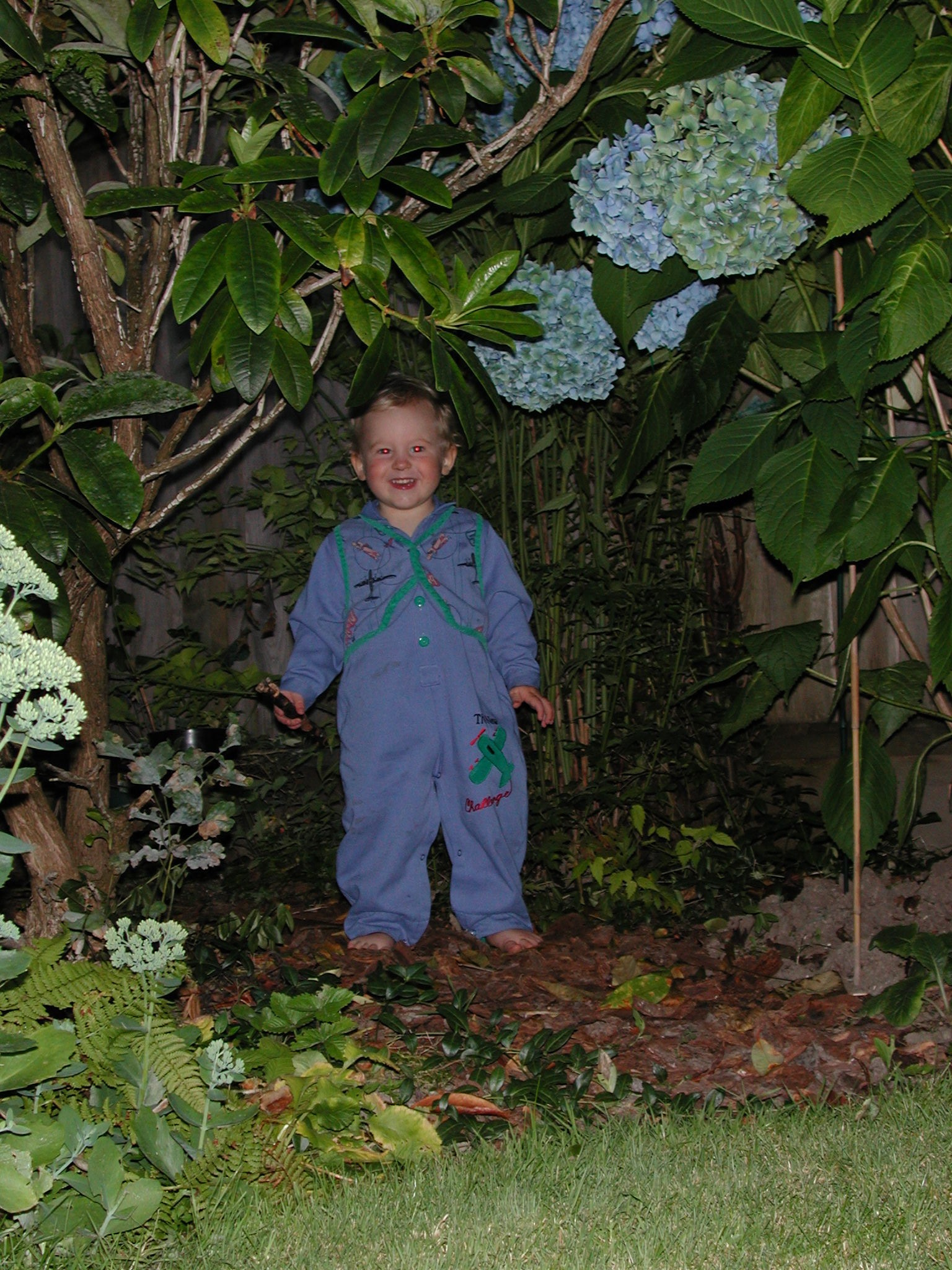 DSCN0125.JPG, 830822 bytes, 8/07/00