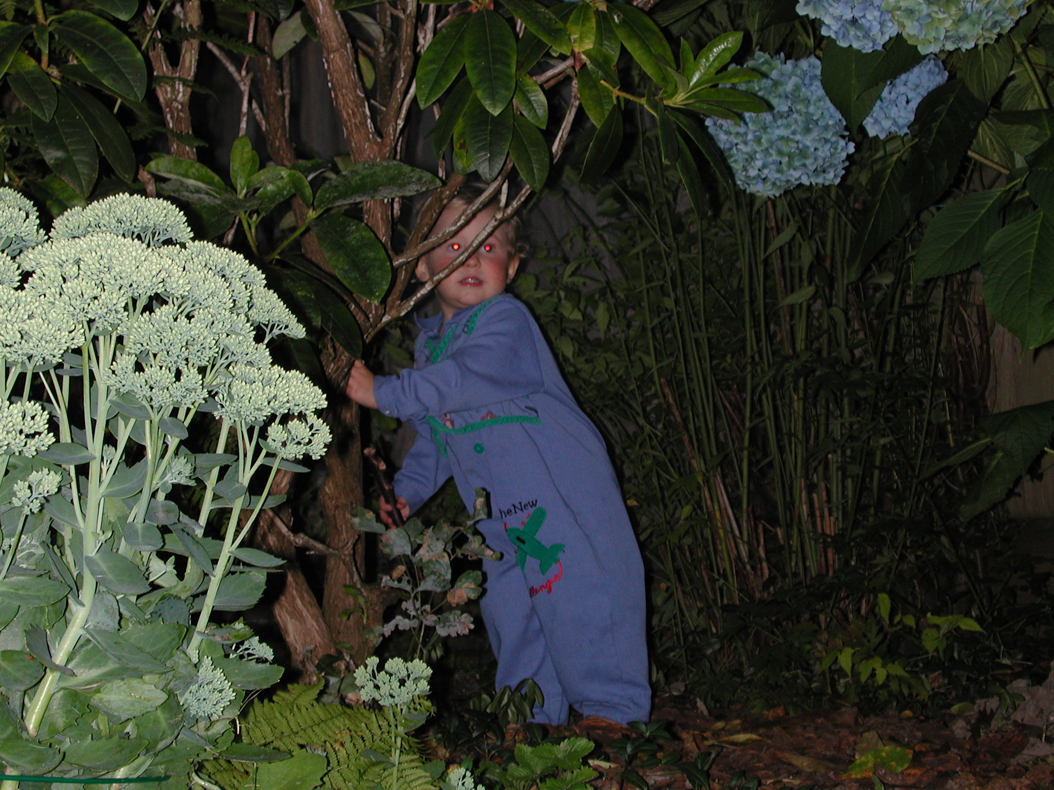 DSCN0126.JPG, 673250 bytes, 8/07/00