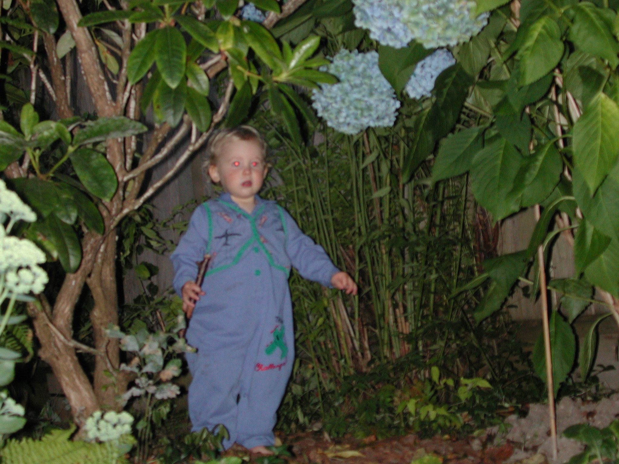 DSCN0127.JPG, 762430 bytes, 8/07/00