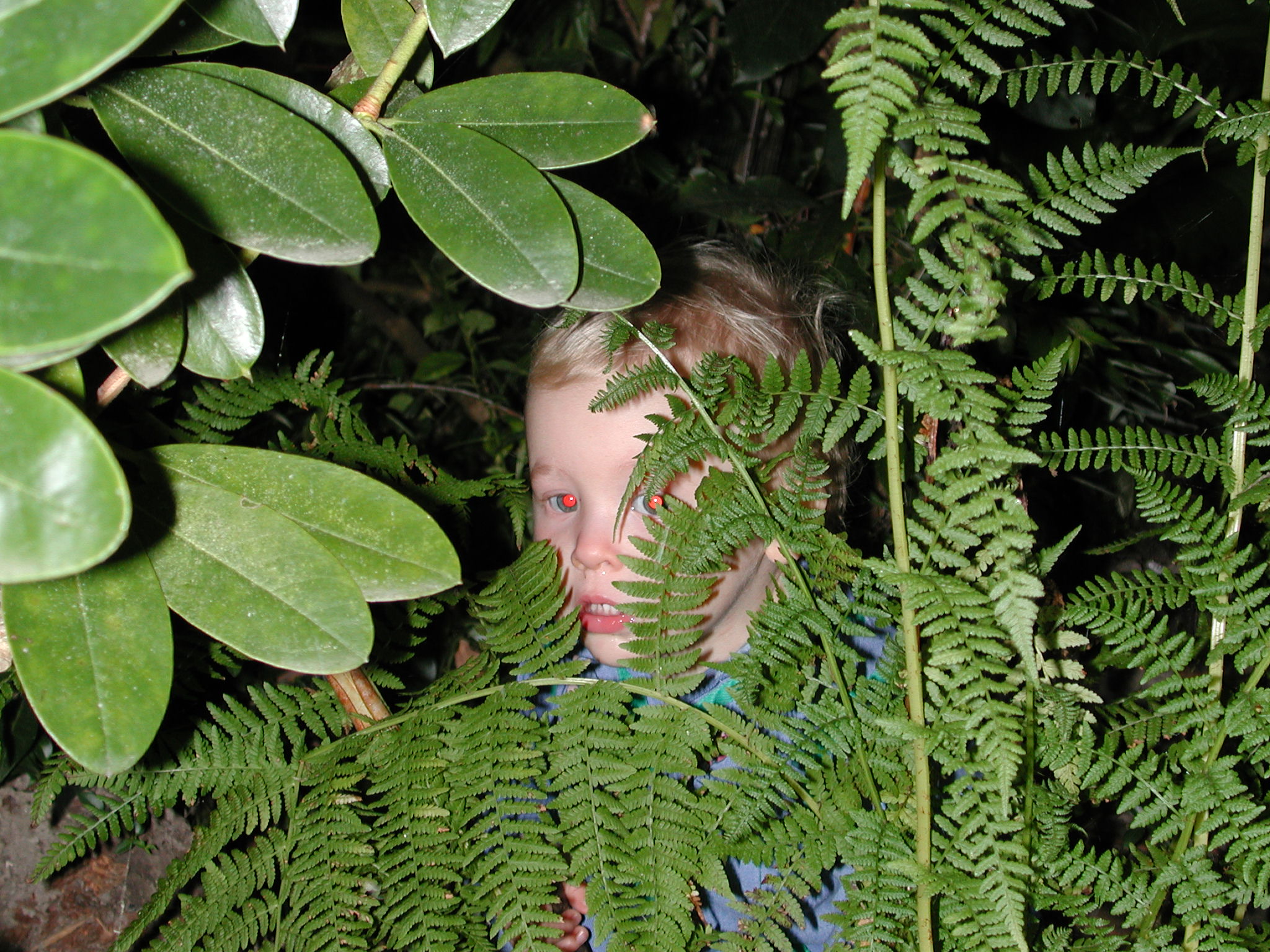 DSCN0129.JPG, 703034 bytes, 8/07/00