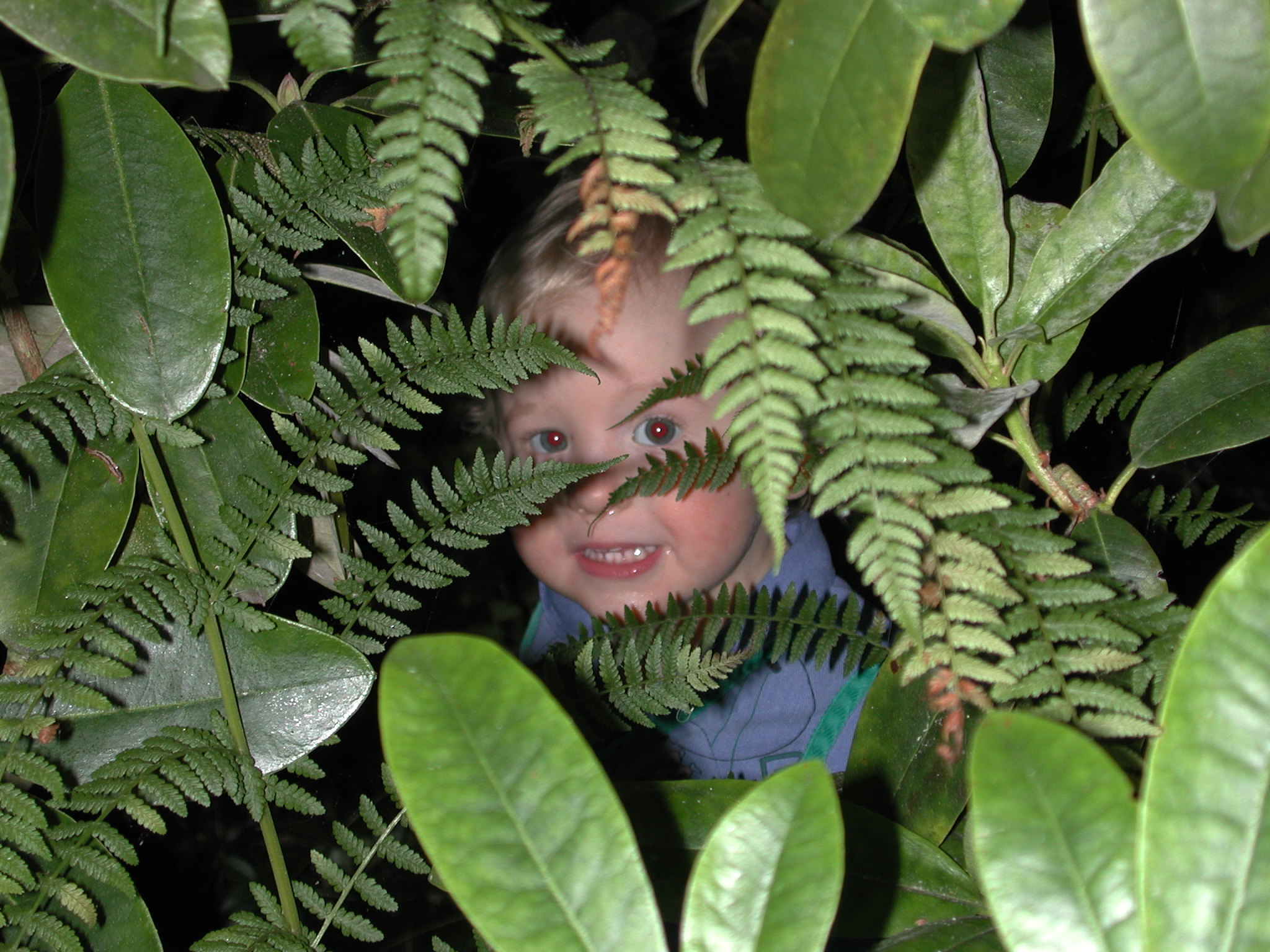 DSCN0131.JPG, 663097 bytes, 8/07/00