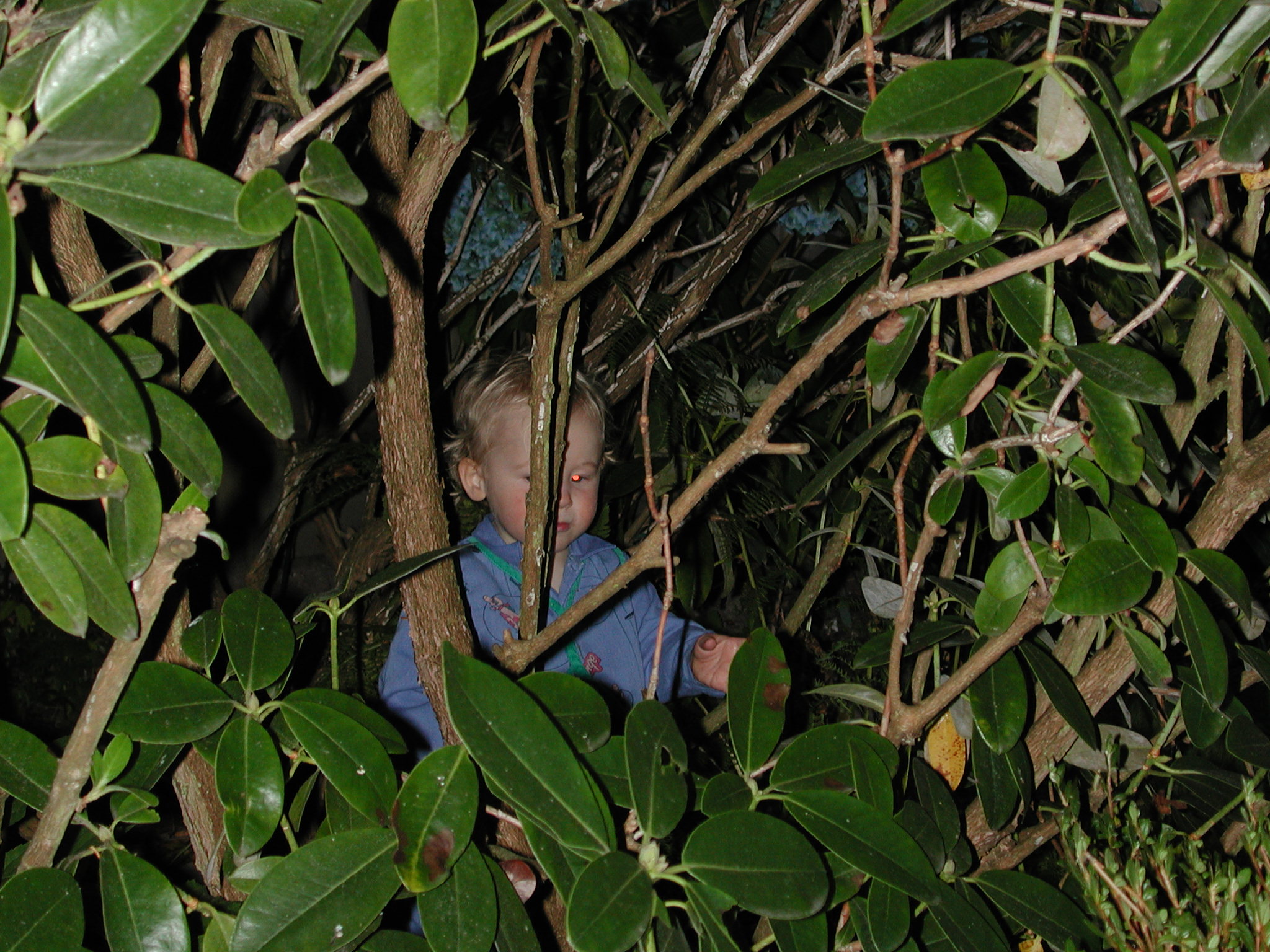 DSCN0132.JPG, 695660 bytes, 8/07/00