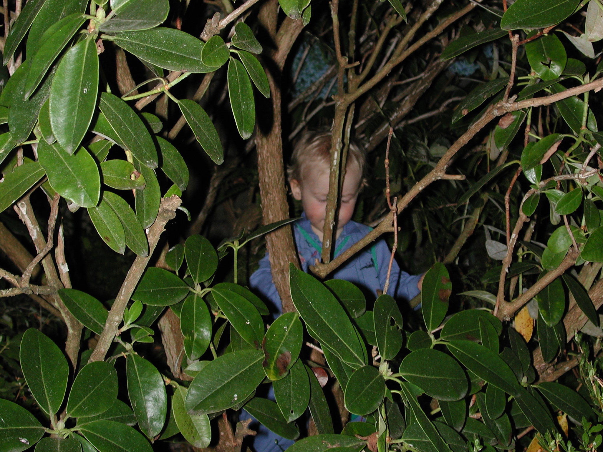 DSCN0133.JPG, 700126 bytes, 8/07/00