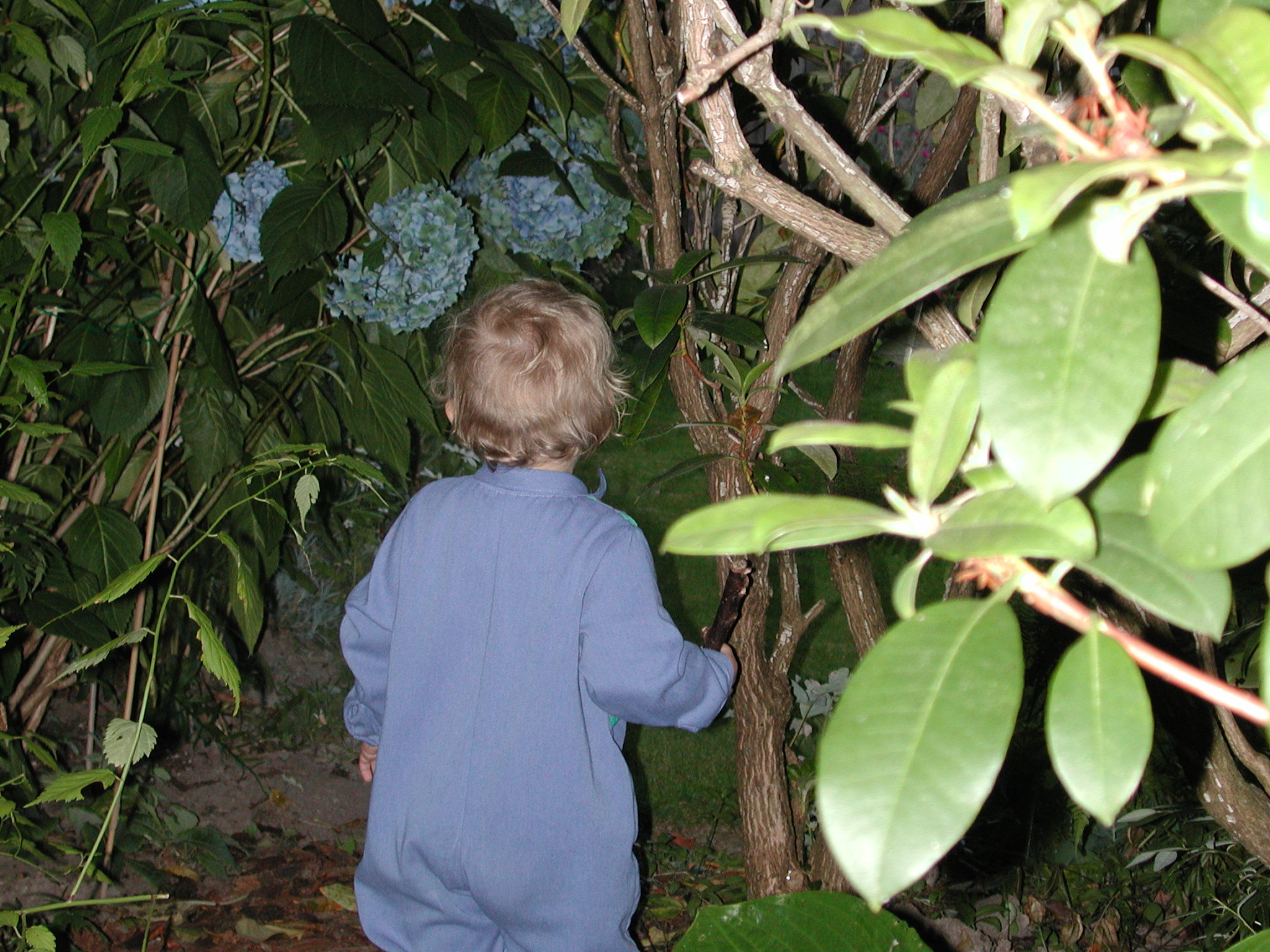 DSCN0135.JPG, 723845 bytes, 8/07/00