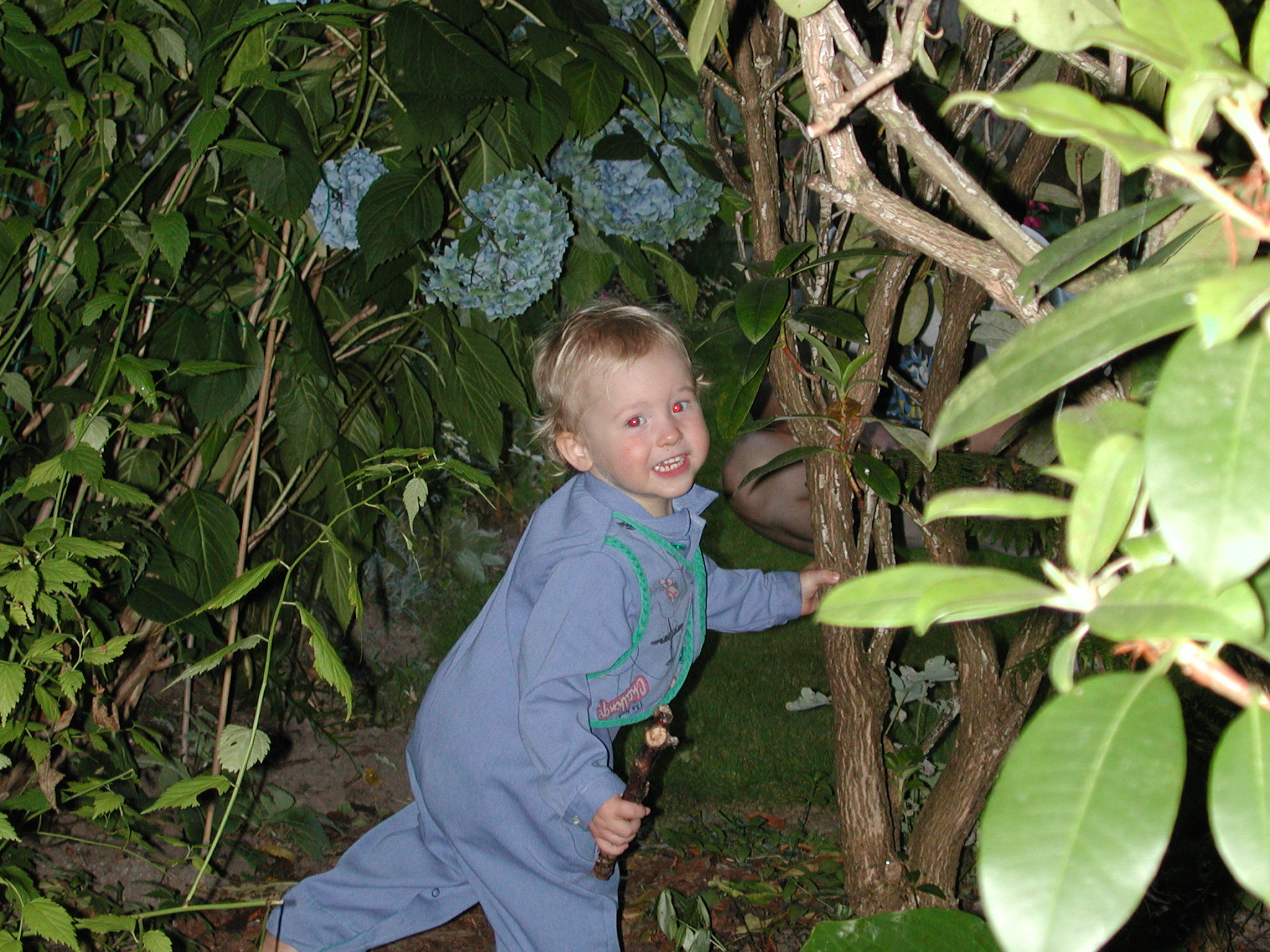 DSCN0136.JPG, 725382 bytes, 8/07/00