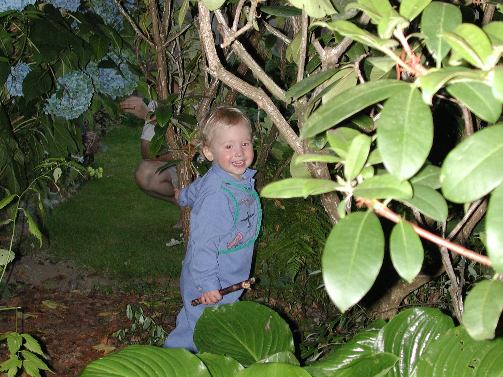 DSCN0137.JPG, 732475 bytes, 8/07/00