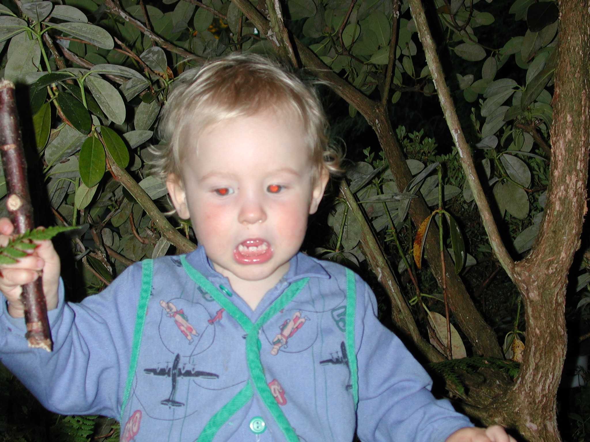 DSCN0139.JPG, 689491 bytes, 8/07/00