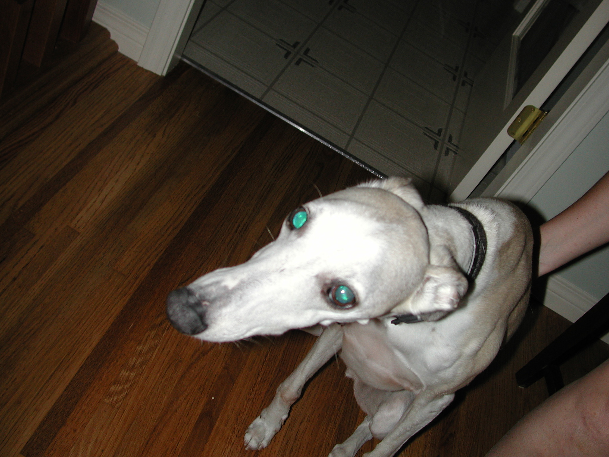 DSCN0151.JPG, 672893 bytes, 8/07/00