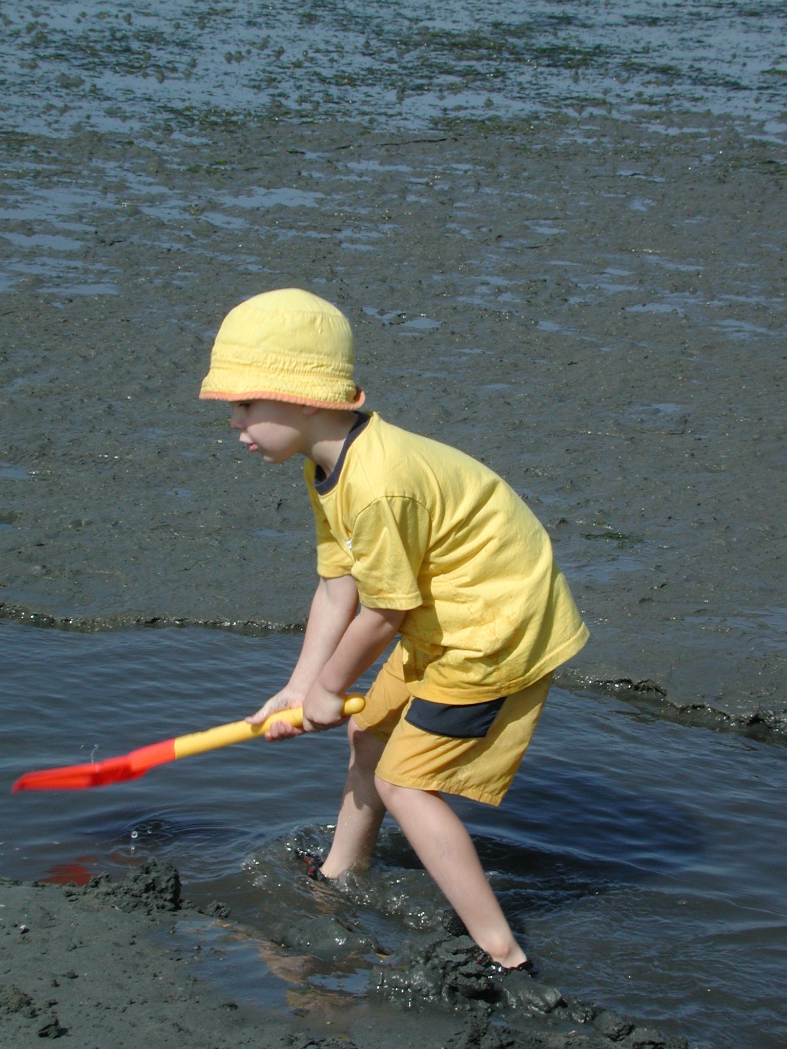 Brian digs Birch Bay.JPG, 672435 bytes, 8/15/00