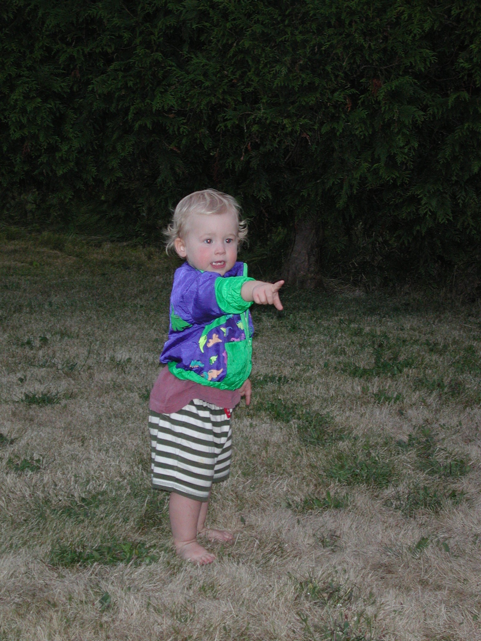 DSCN0162.JPG, 779860 bytes, 8/15/00