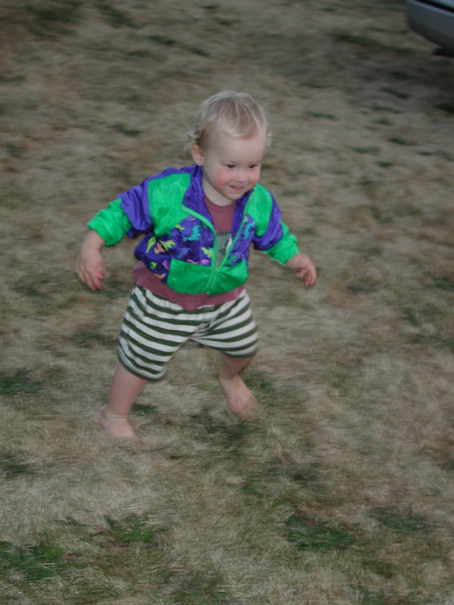 DSCN0164.JPG, 598582 bytes, 8/15/00