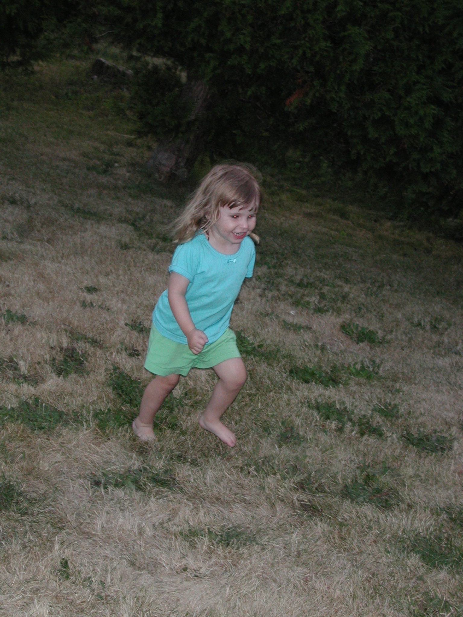 DSCN0165.JPG, 717615 bytes, 8/15/00