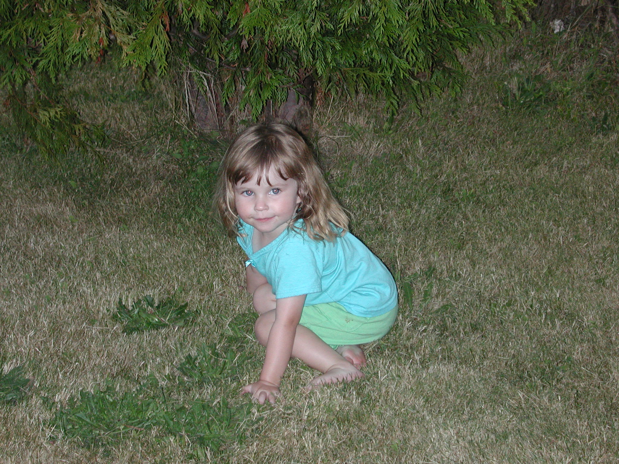 DSCN0168.JPG, 727862 bytes, 8/11/00