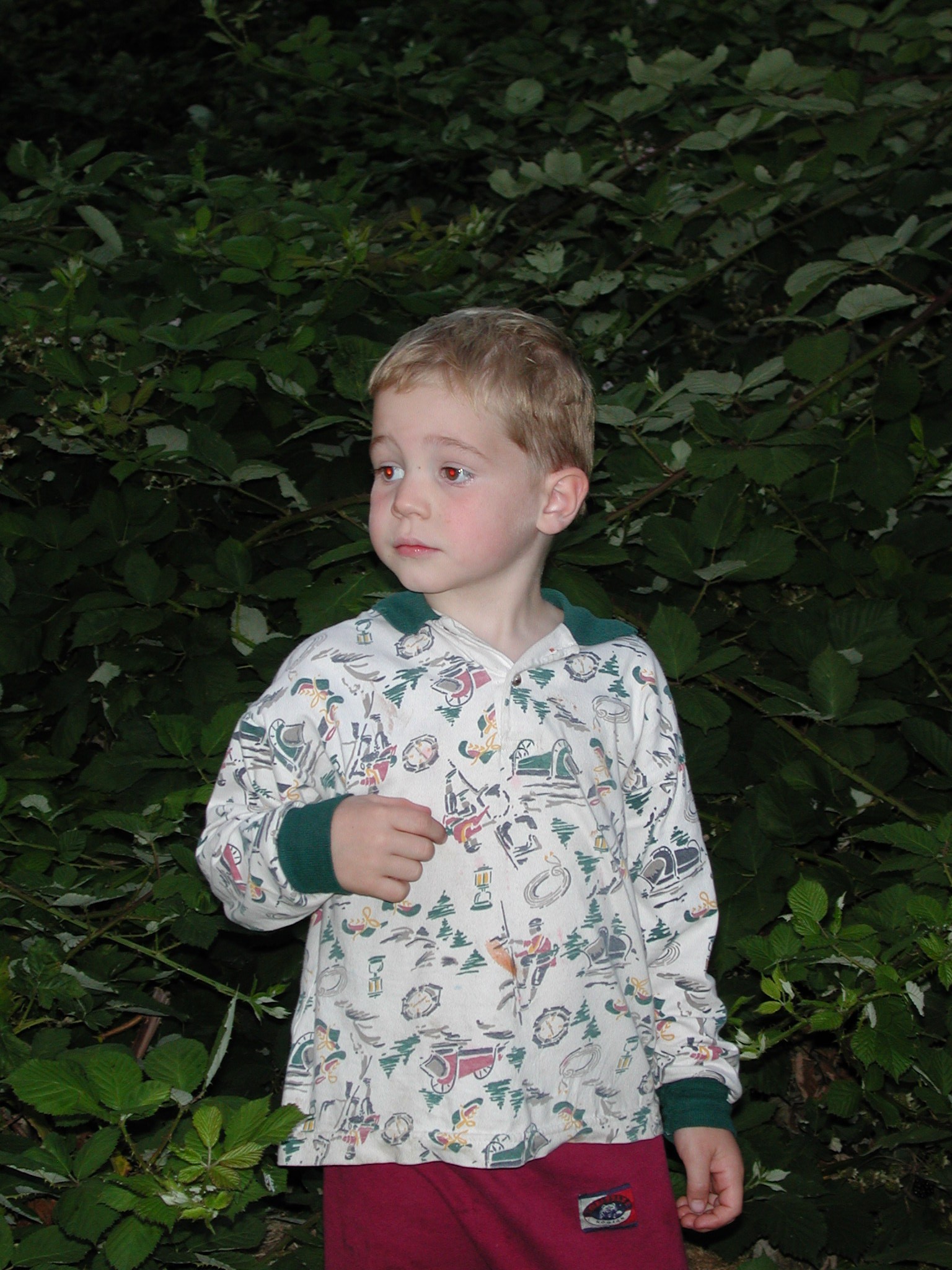 DSCN0171.JPG, 624028 bytes, 8/15/00