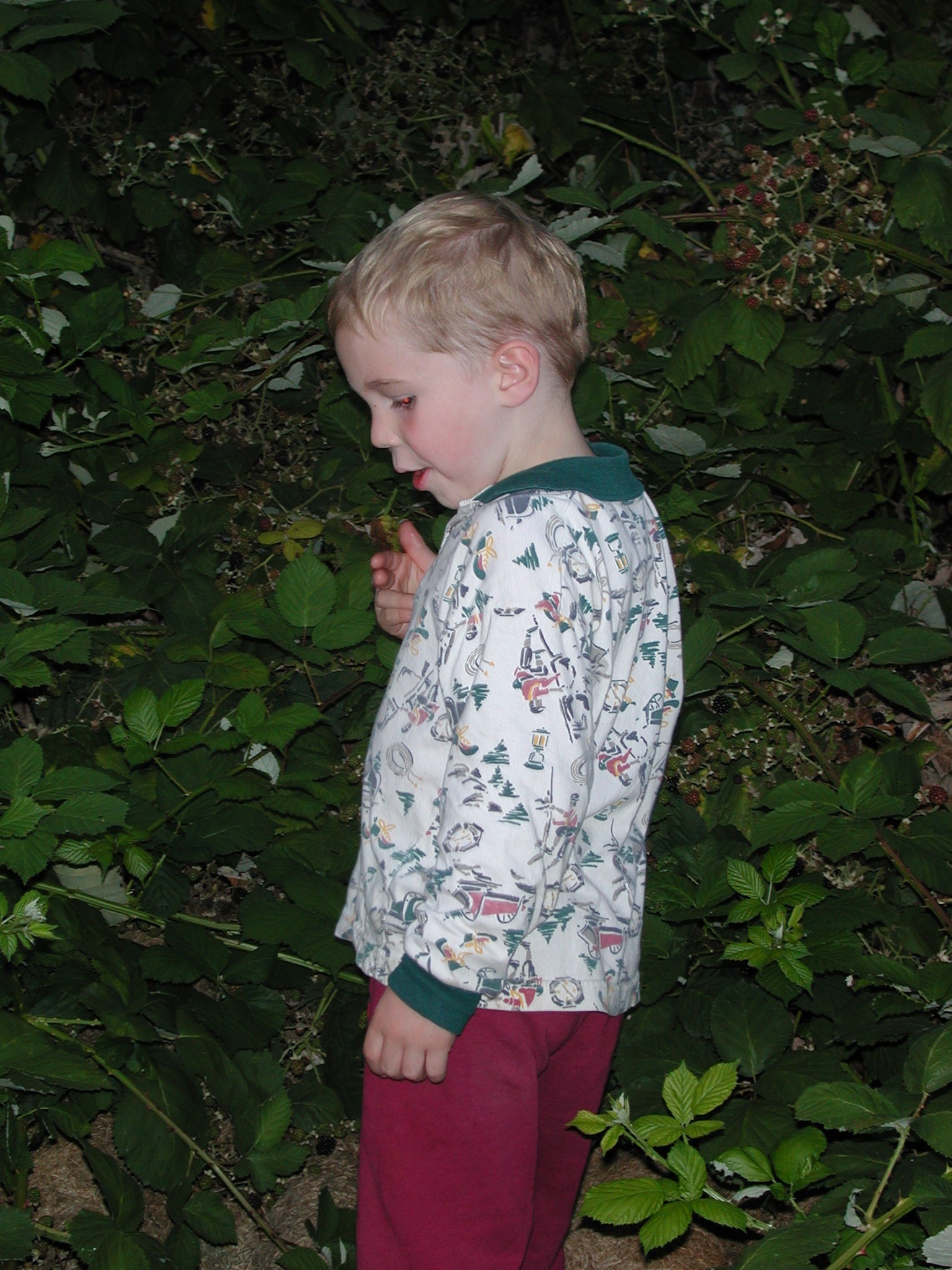 DSCN0172.JPG, 674298 bytes, 8/15/00