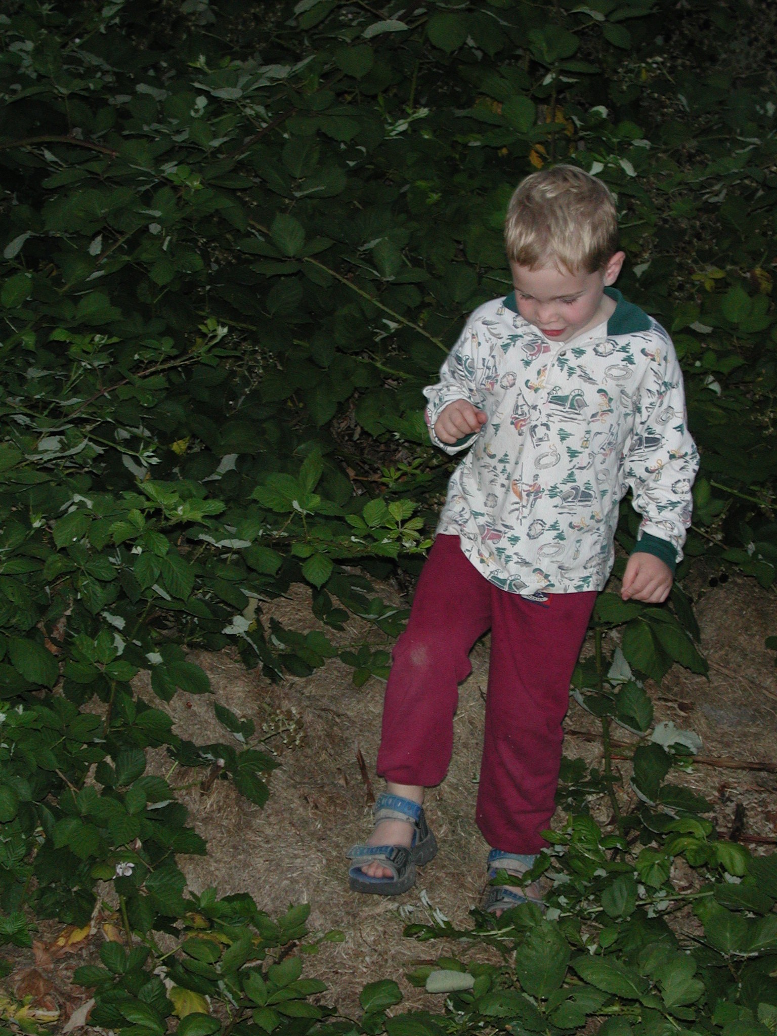 DSCN0173.JPG, 747999 bytes, 8/15/00