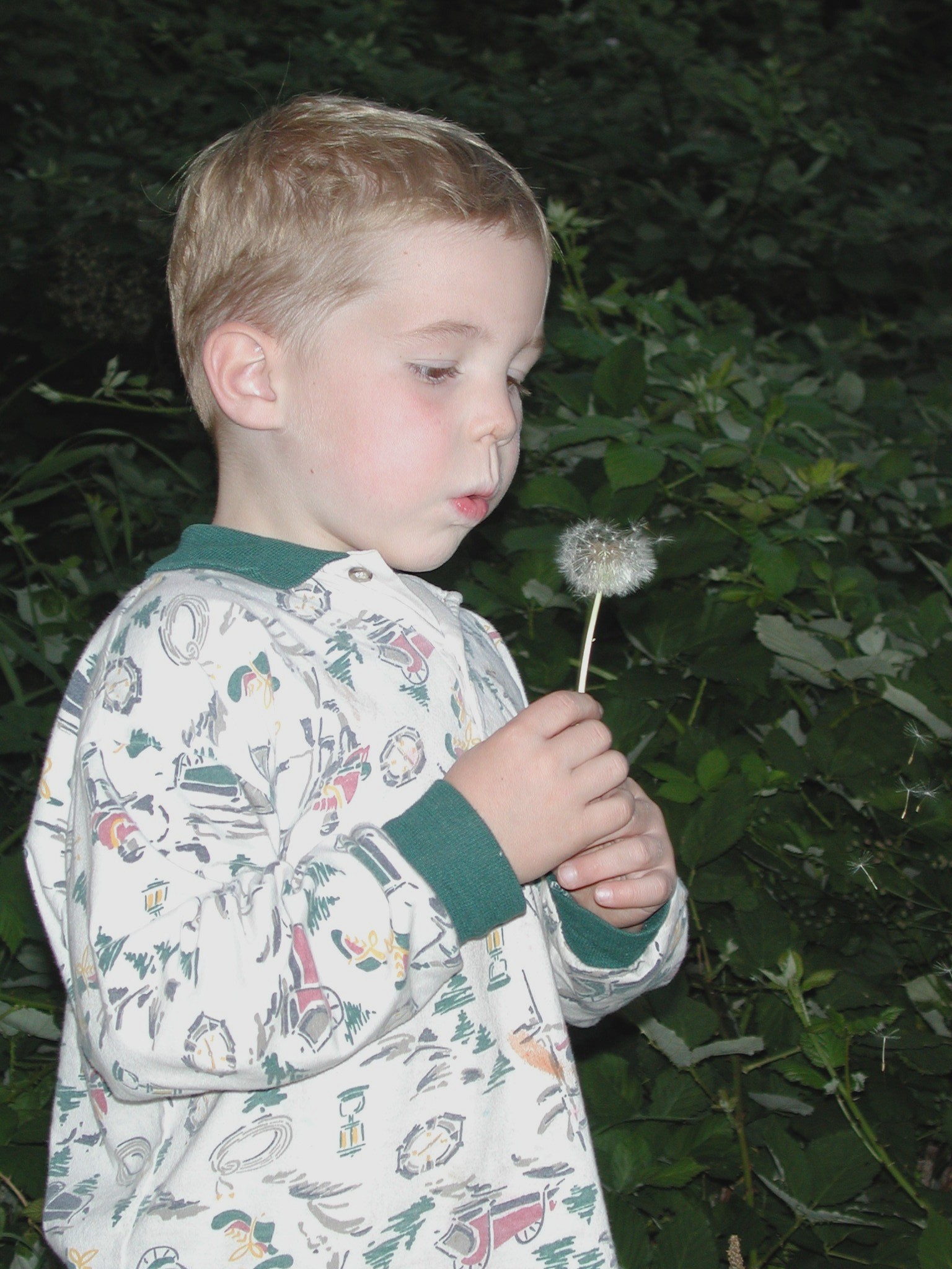 DSCN0174.JPG, 575965 bytes, 8/15/00