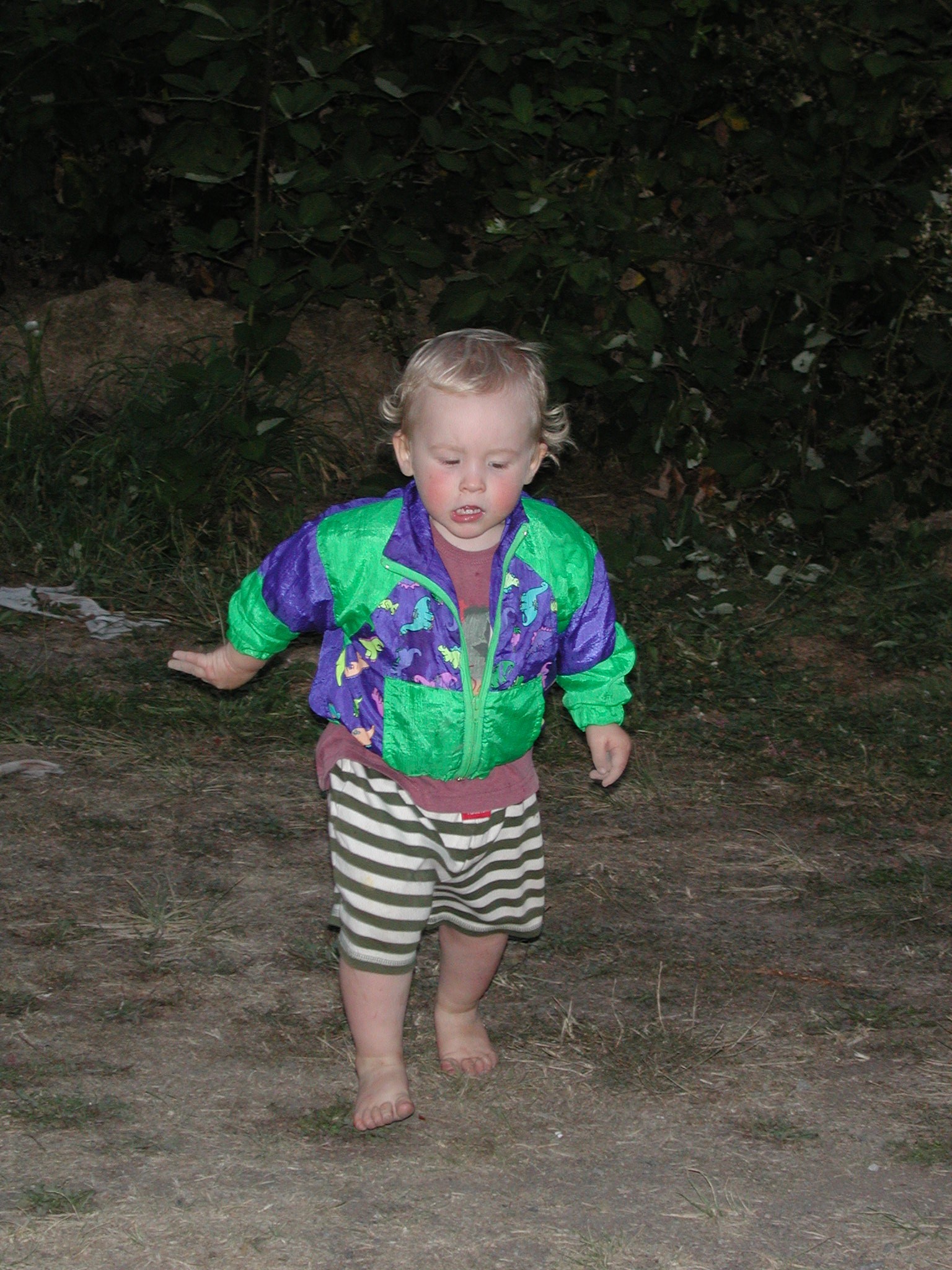 DSCN0176.JPG, 732049 bytes, 1/29/01