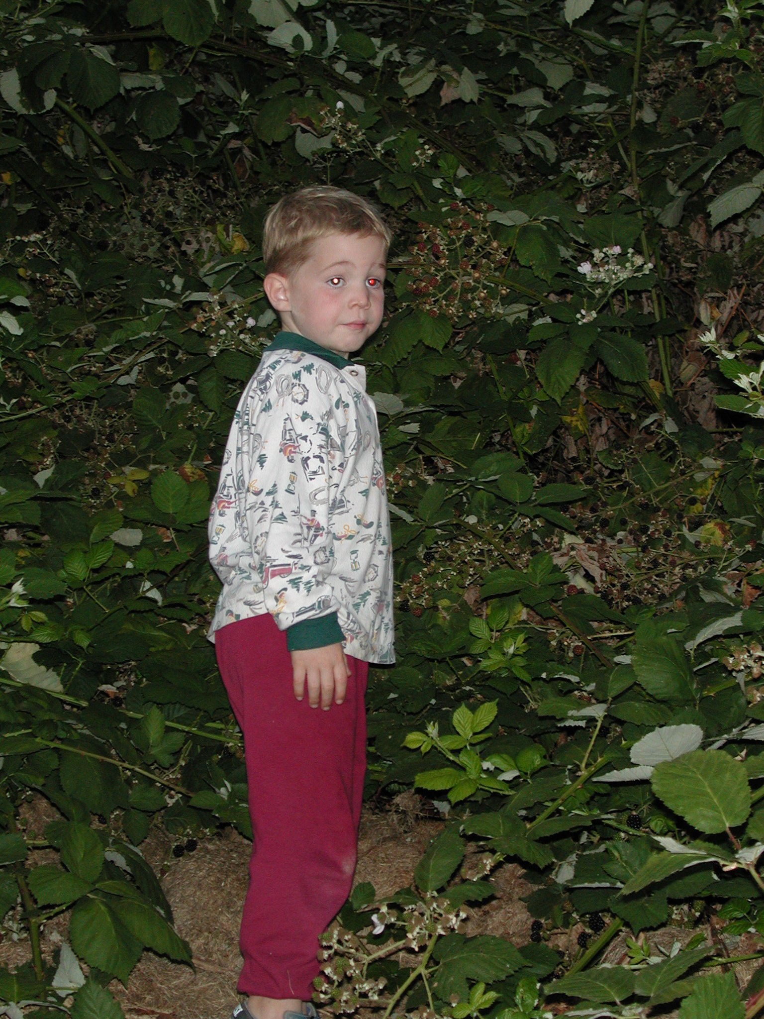 DSCN0177.JPG, 819563 bytes, 8/15/00