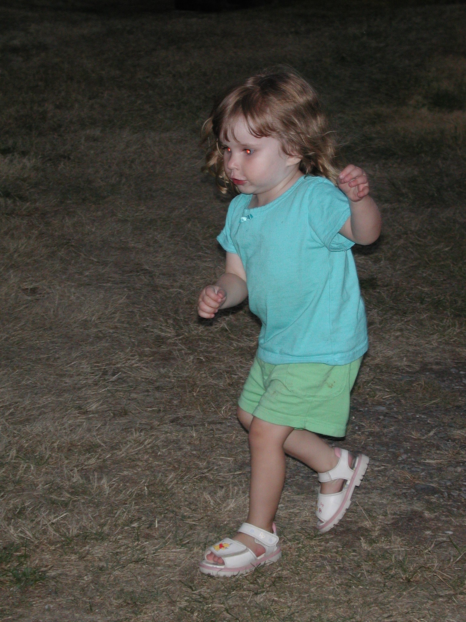 DSCN0179.JPG, 730621 bytes, 8/15/00