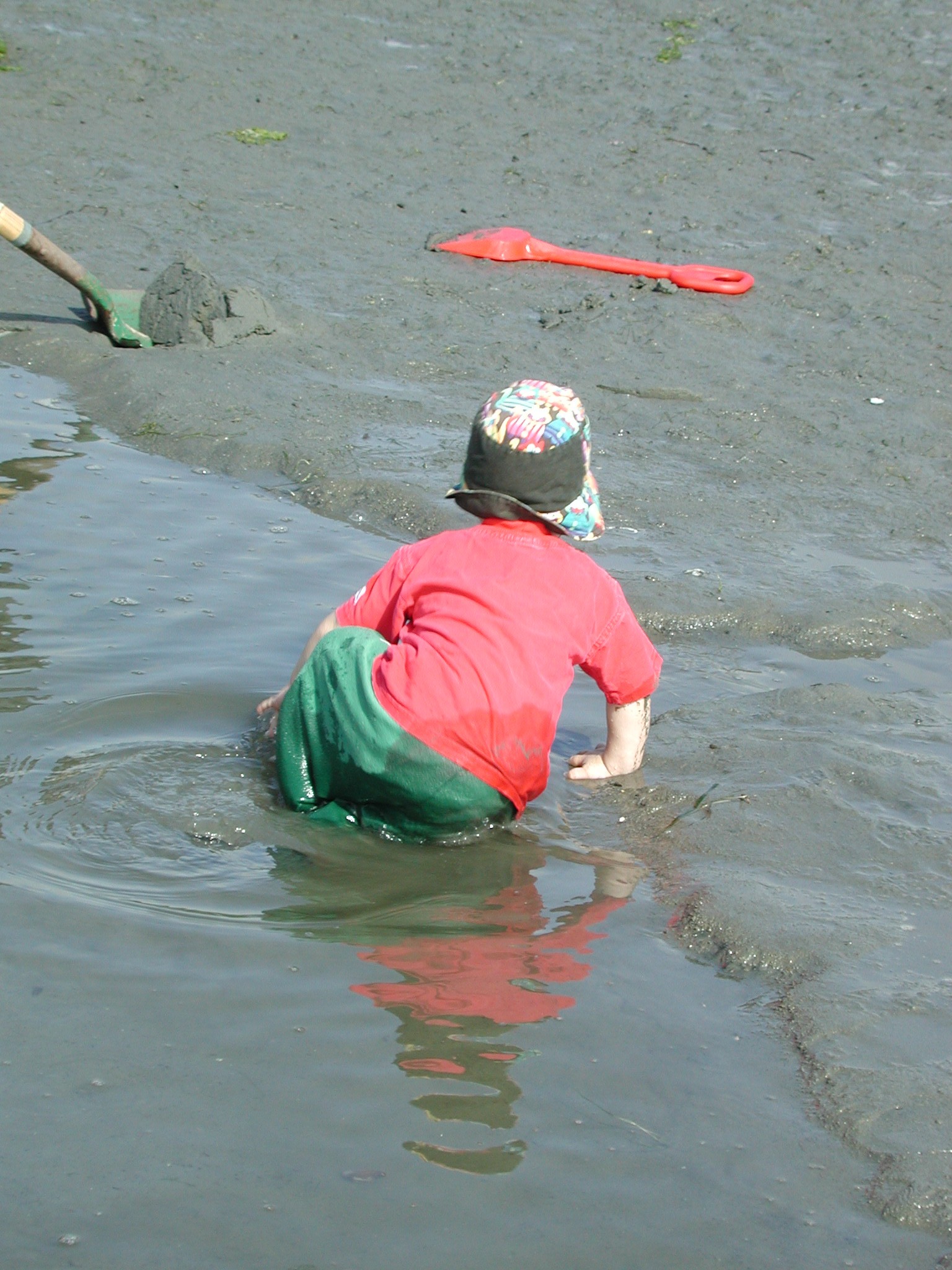 DSCN0195.JPG, 612654 bytes, 1/29/01