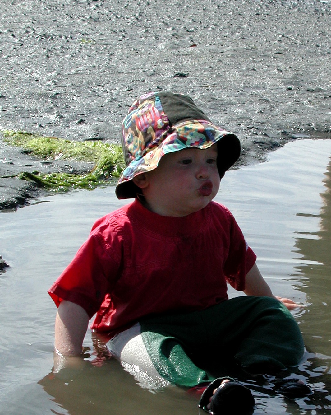 DSCN0213.JPG, 409269 bytes, 8/15/00