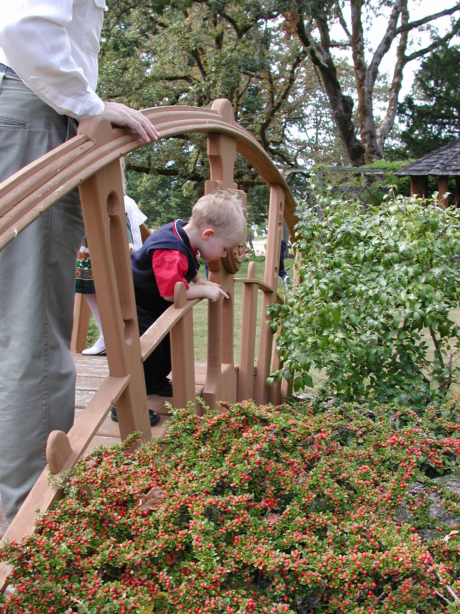 DSCN0557.JPG, 1031174 bytes, 12/27/00