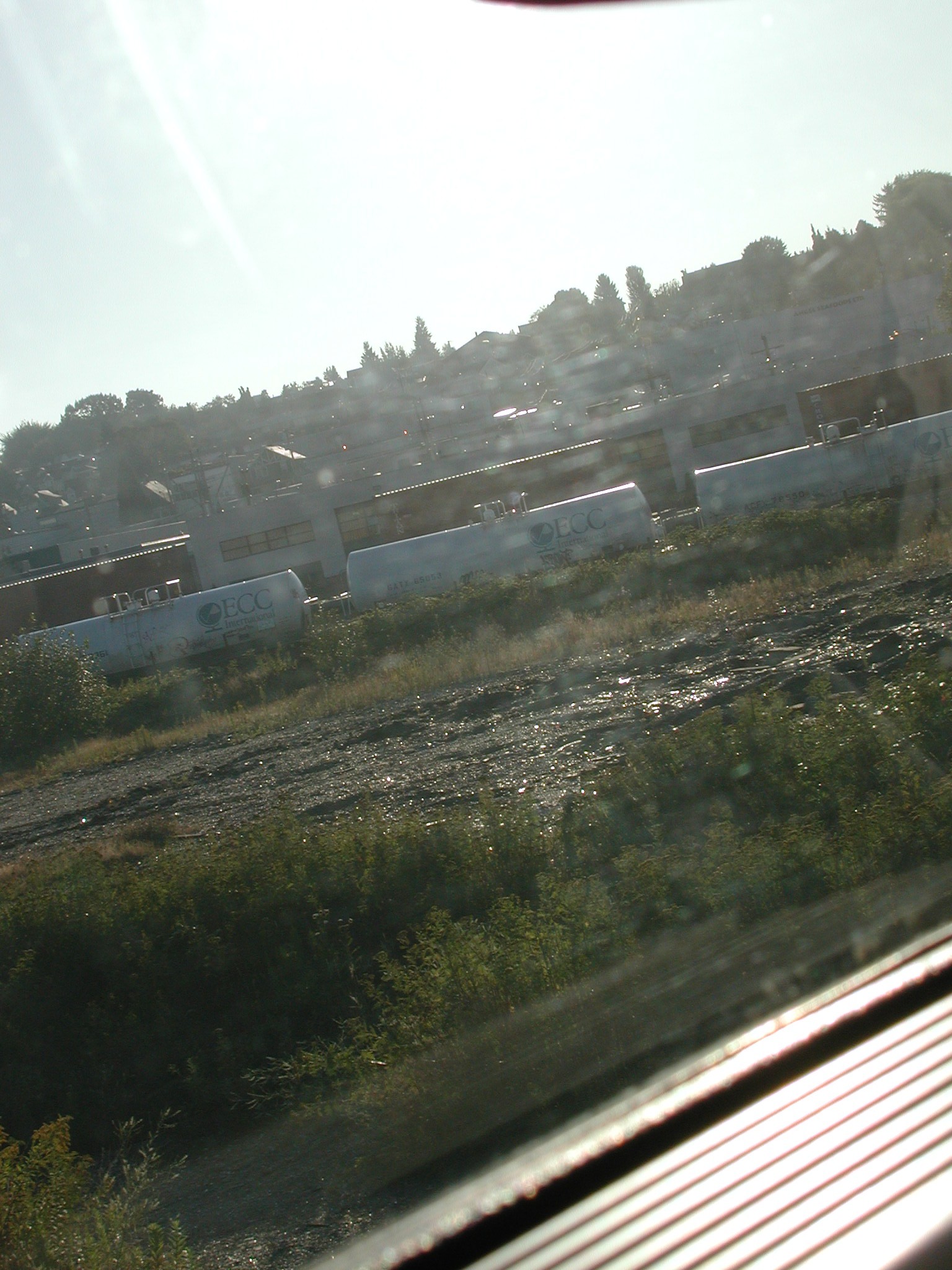 DSCN0271.JPG, 565725 bytes, 1/29/01