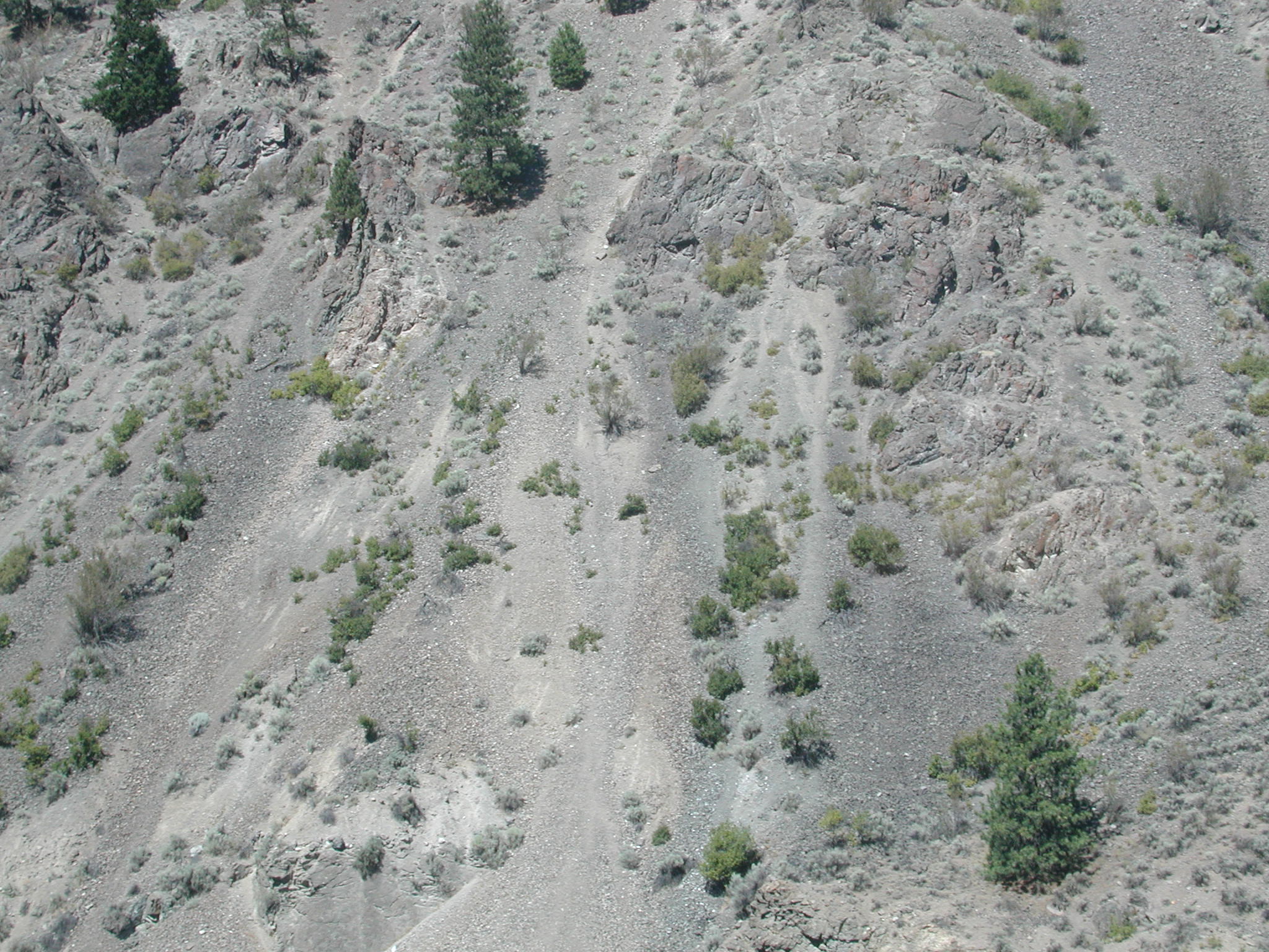 DSCN0302.JPG, 686177 bytes, 8/22/00