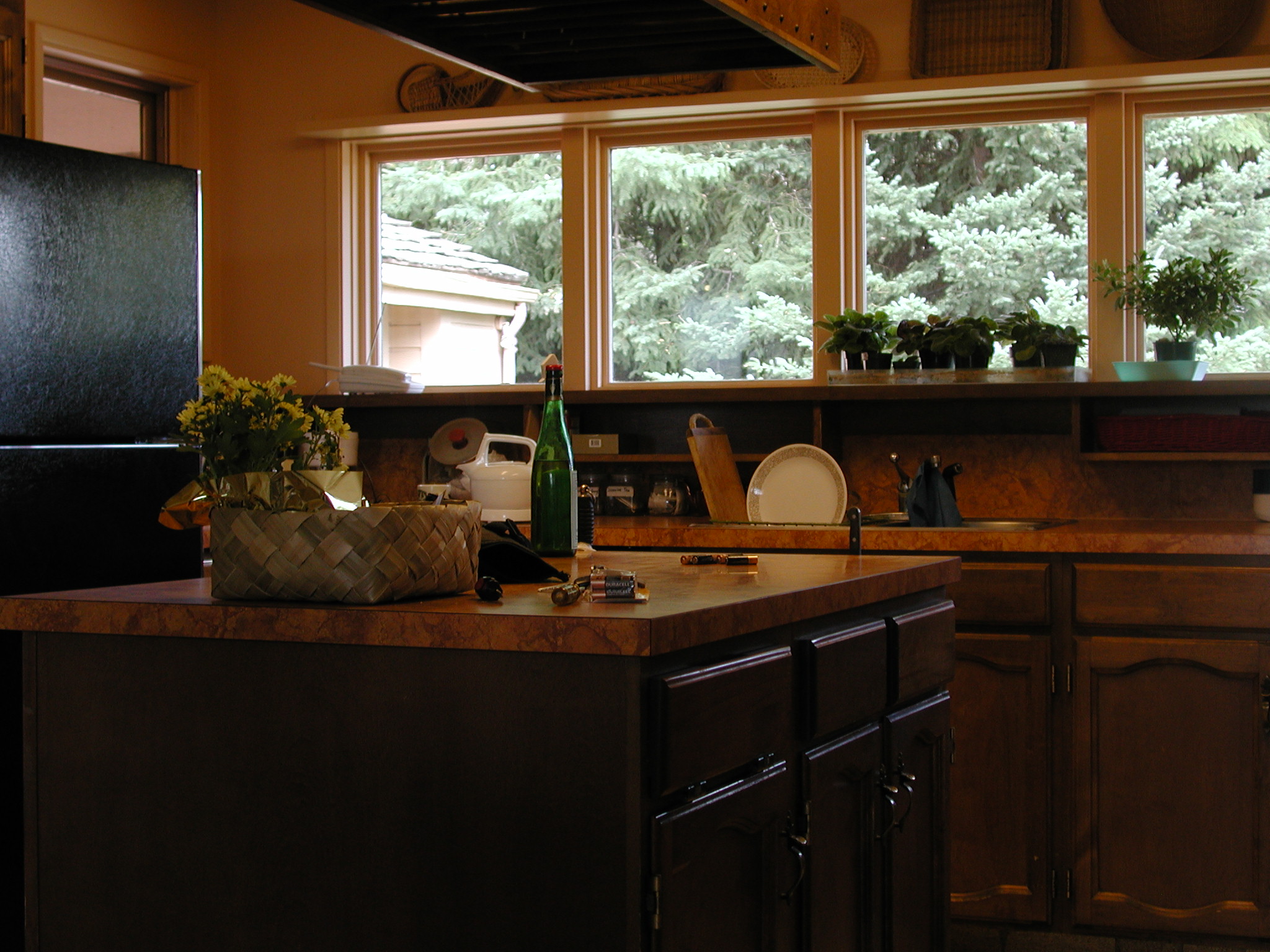 DSCN0498.JPG, 665823 bytes, 8/27/00