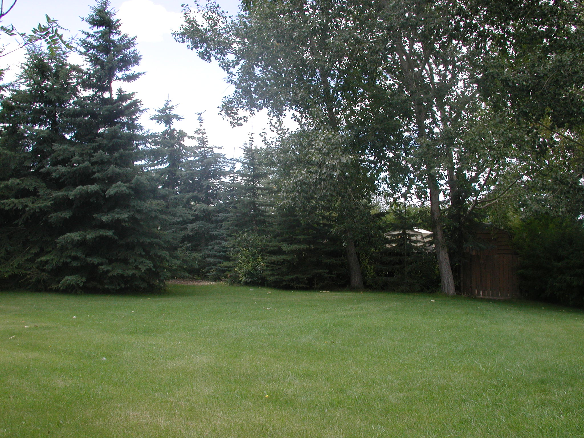 DSCN0520.JPG, 721503 bytes, 8/27/00