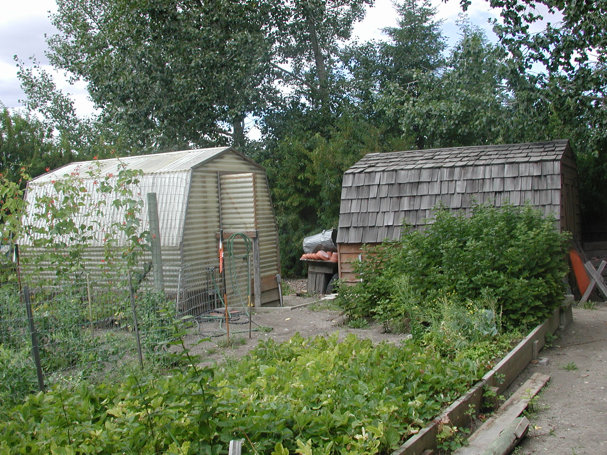 DSCN0522.JPG, 736455 bytes, 8/27/00