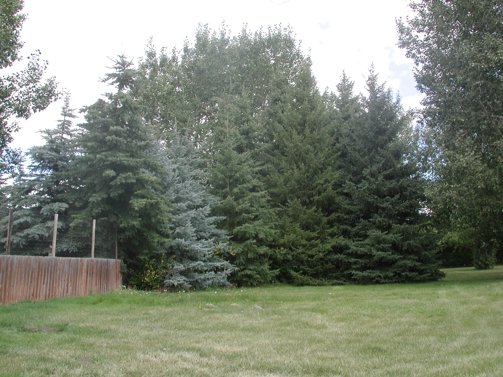 DSCN0525.JPG, 705910 bytes, 8/27/00