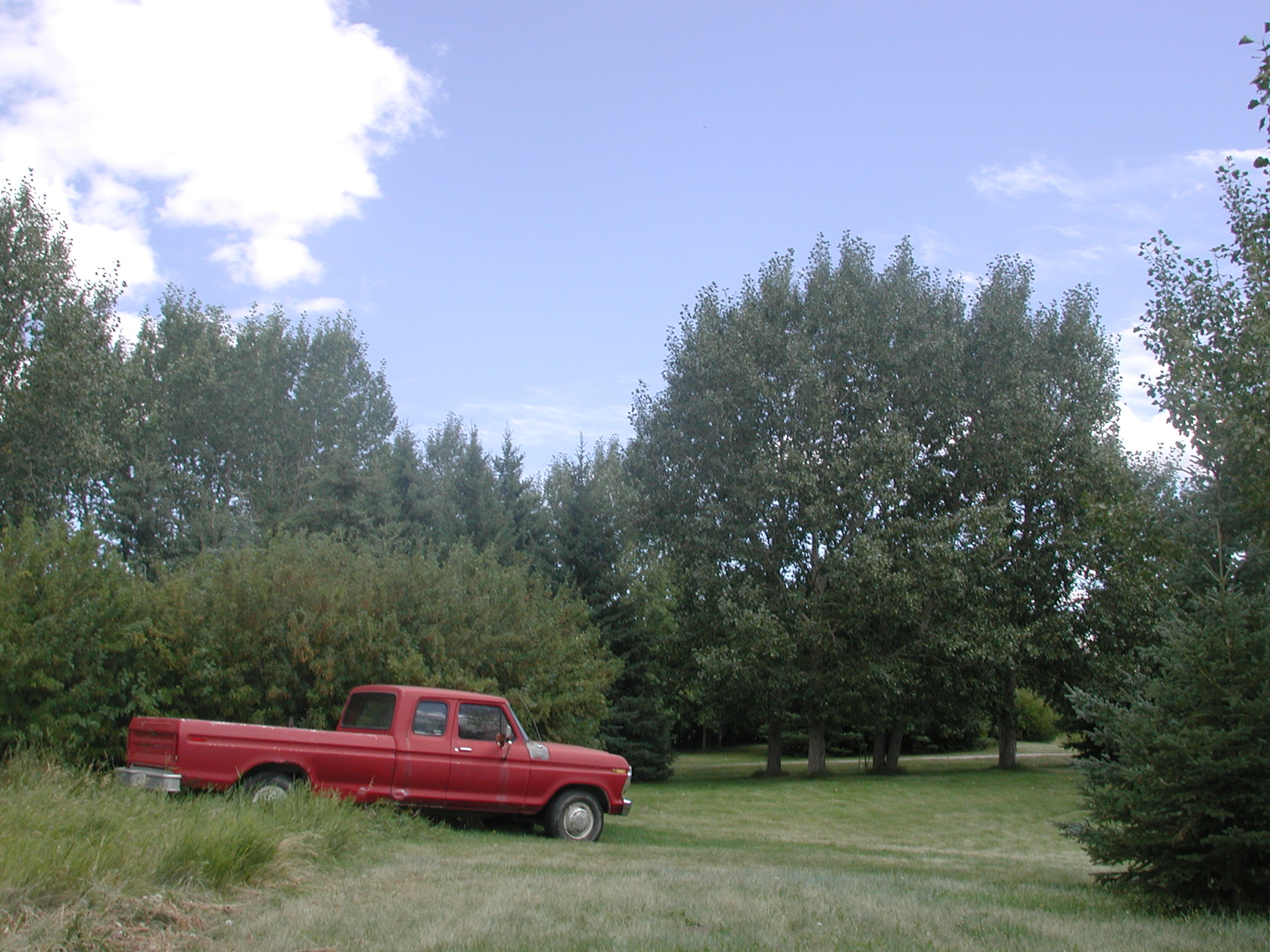 DSCN0526.JPG, 671943 bytes, 8/27/00