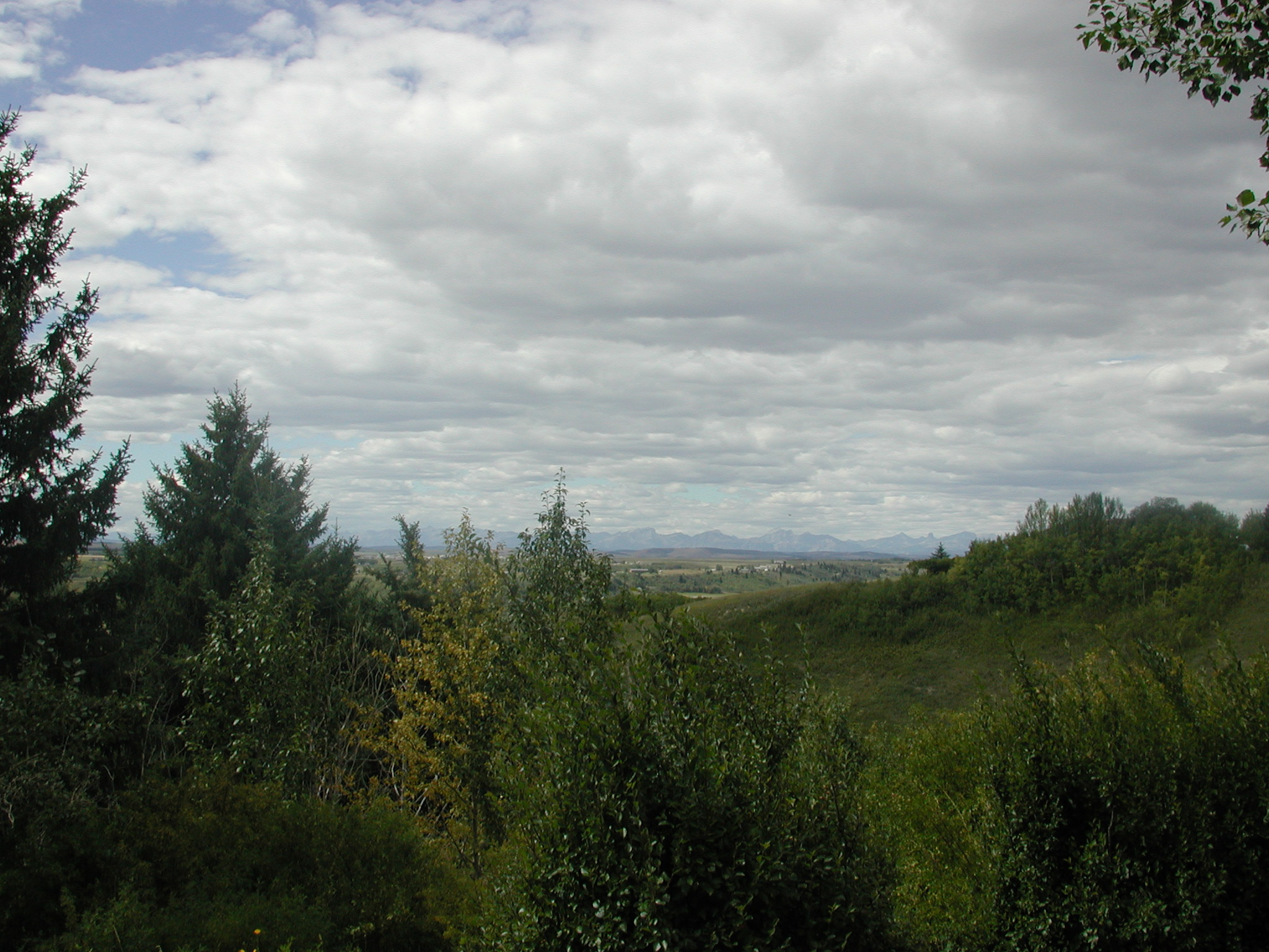 DSCN0530.JPG, 662383 bytes, 8/27/00